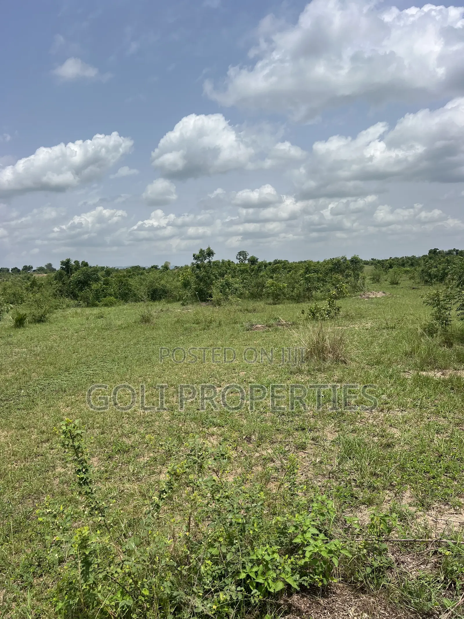 Agricultural Land at Kasunya in Accra Metropolitan