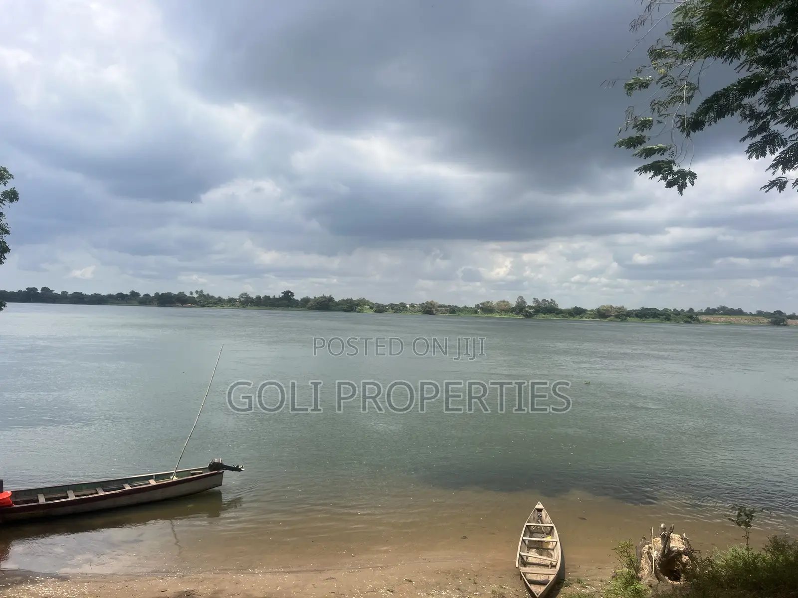 Lease Farmland in Kasunya for Your Agricultural Project in Accra Metropolitan