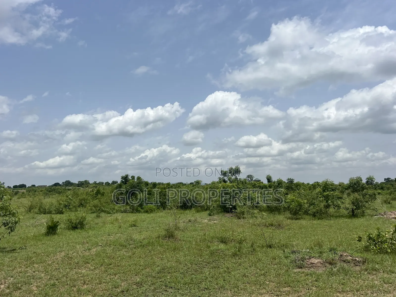 Lease Farmland in Kasunya for Your Agricultural Project in Accra Metropolitan
