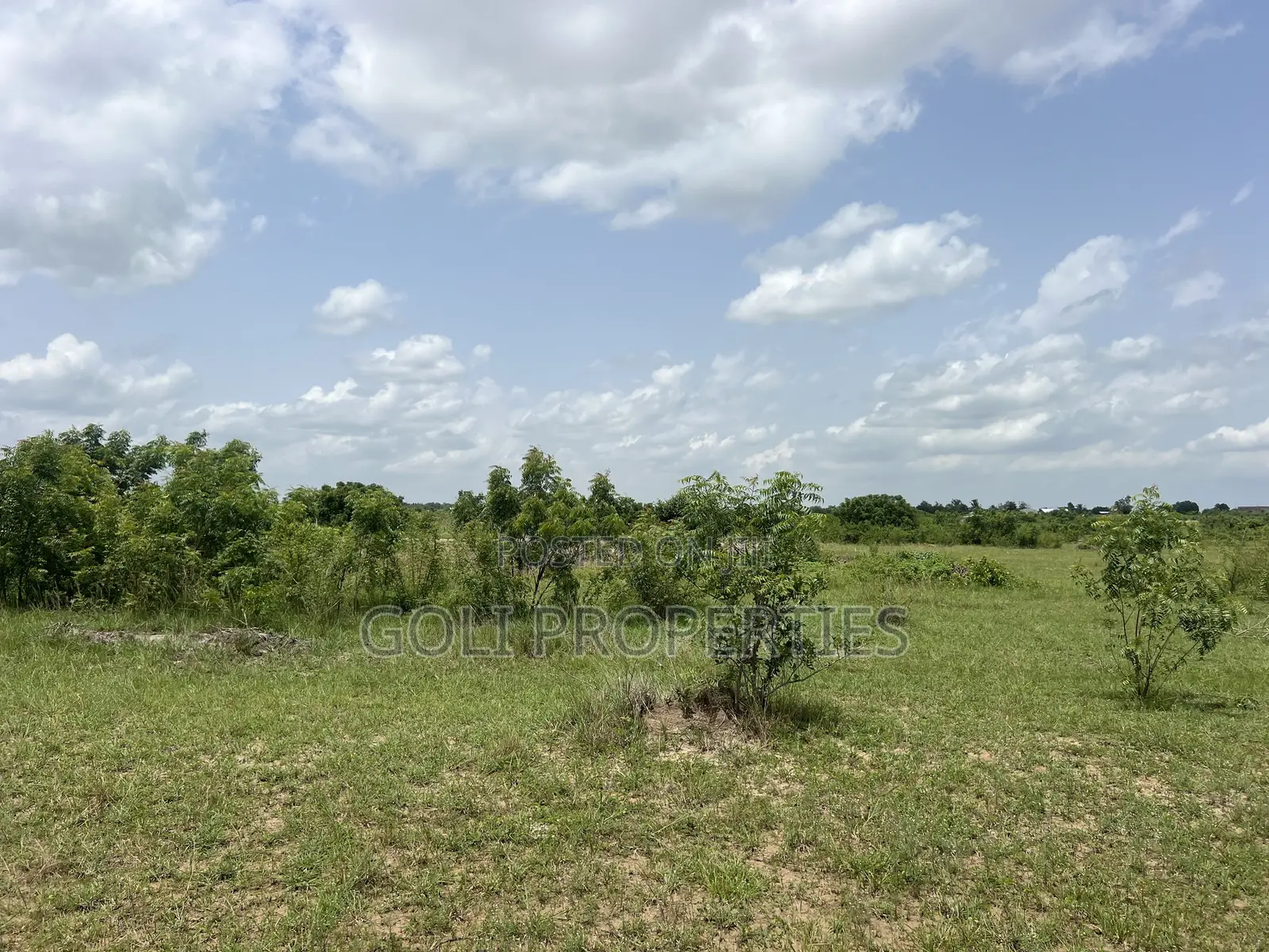 Lease Farmland in Kasunya for Your Agricultural Project in Accra Metropolitan