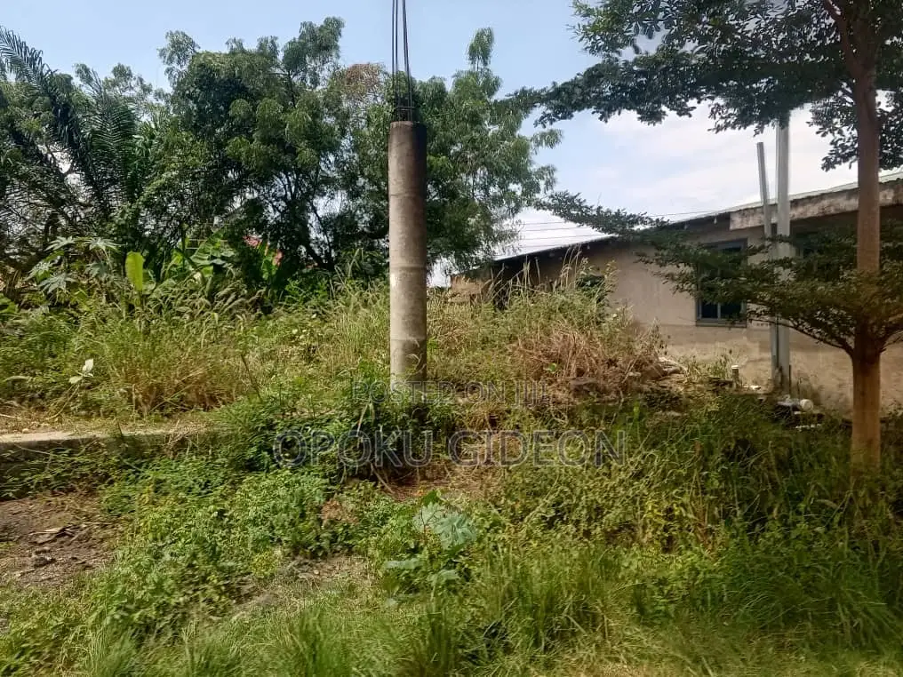 Half Plot of Land for Sale at Olebu Canada in Olebu