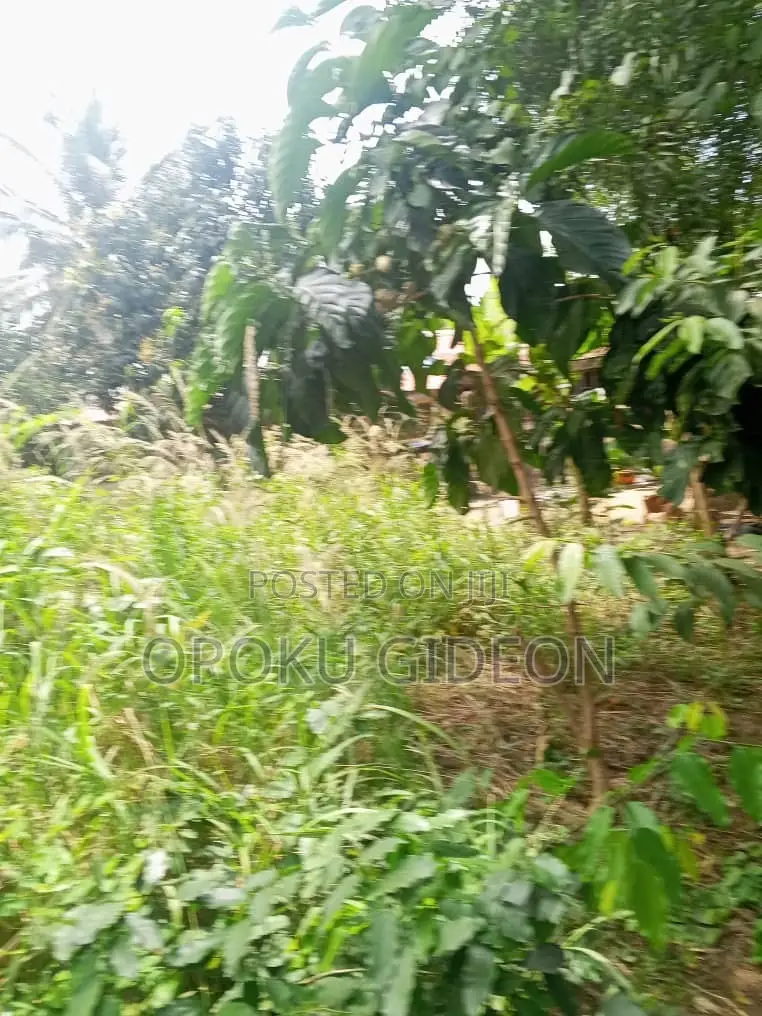 Half Plot of Land for Sale at Olebu Canada in Olebu