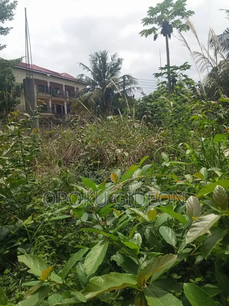 Half Plot of Land for Sale at Olebu Canada in Olebu