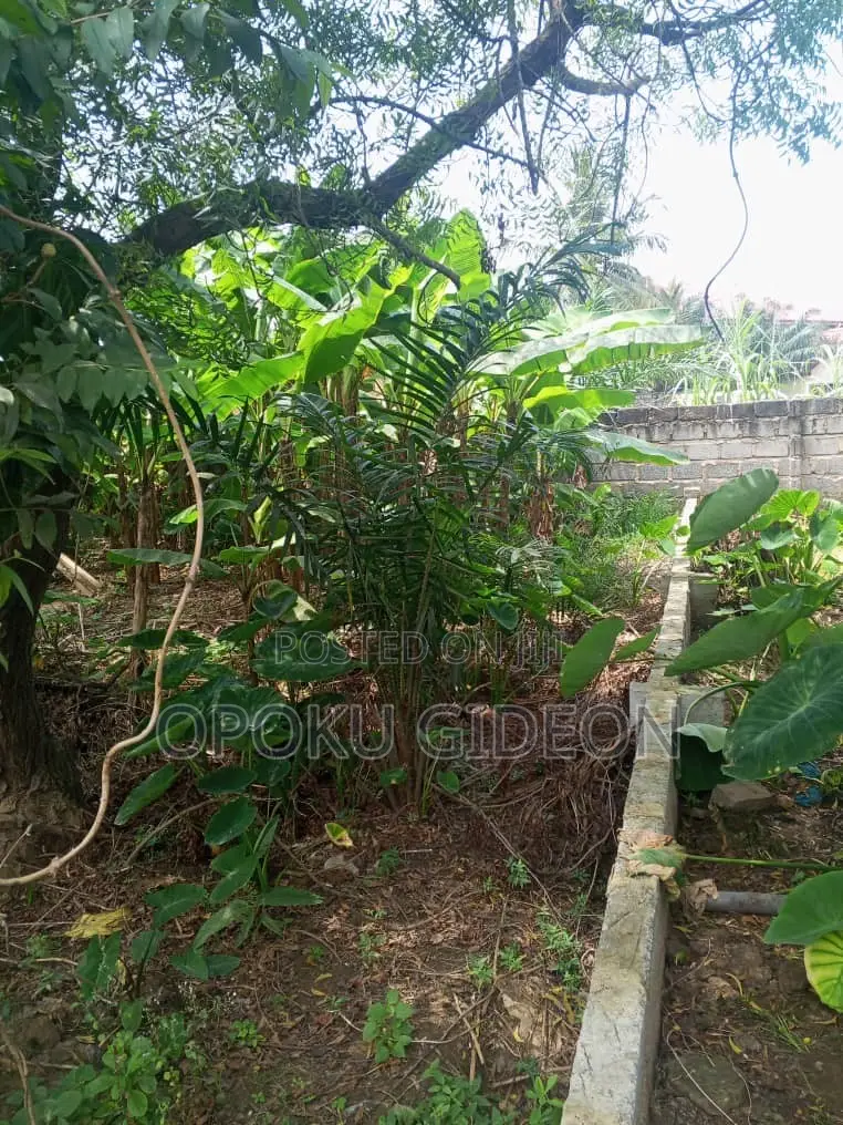 Half Plot of Land for Sale at Olebu Canada in Olebu