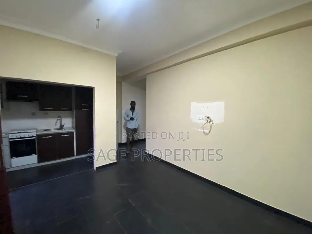 1bdrm Apartment in Nmai-Dzorn for rent in Nmai-Dzorn