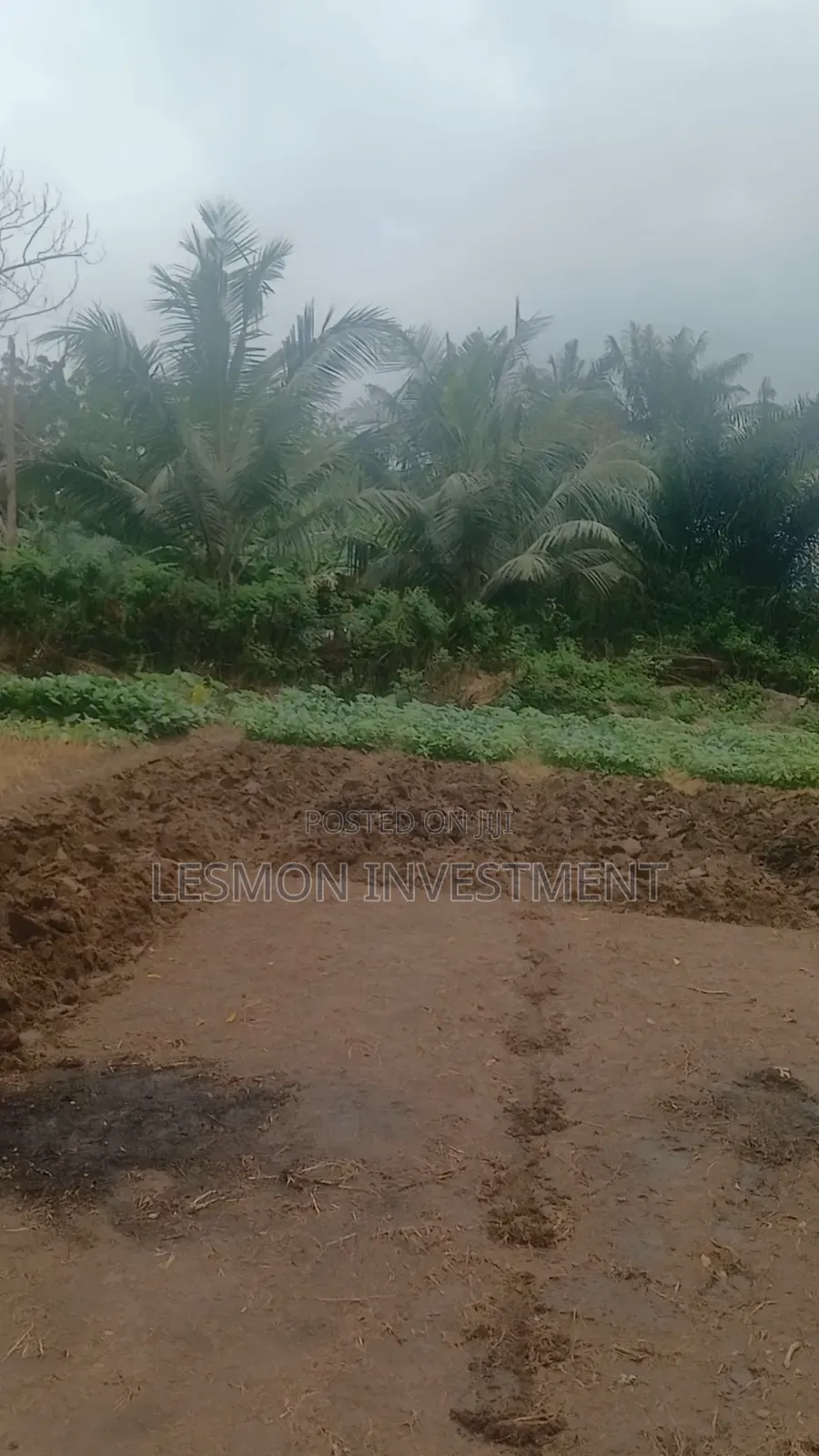 3 Plots for Sale at Airport Residential Area in Airport Residential Area