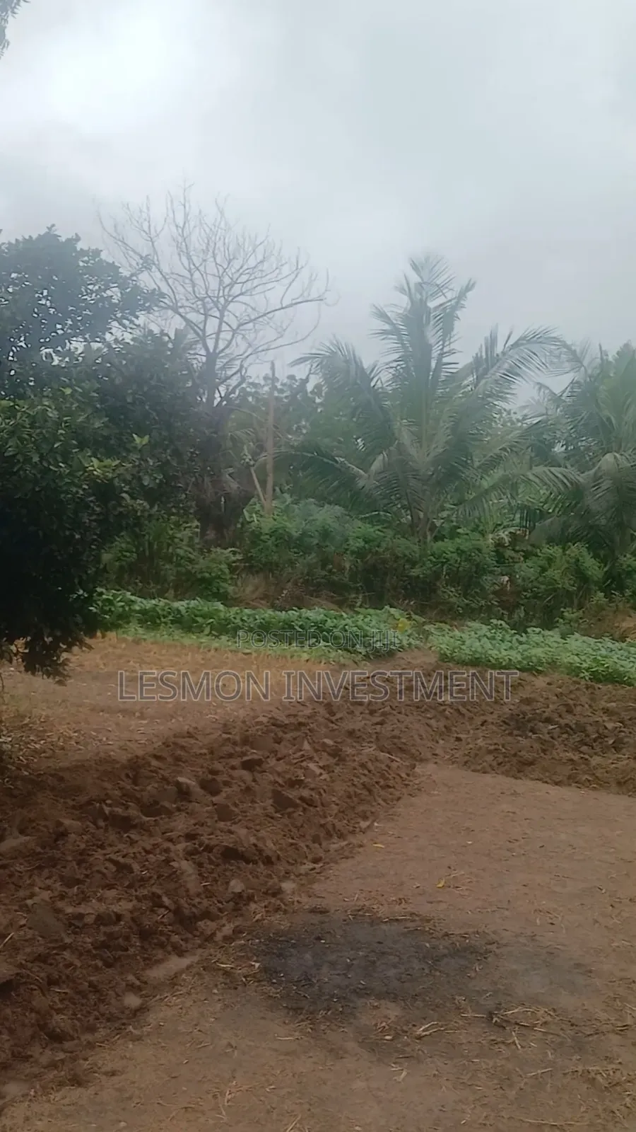 3 Plots for Sale at Airport Residential Area in Airport Residential Area
