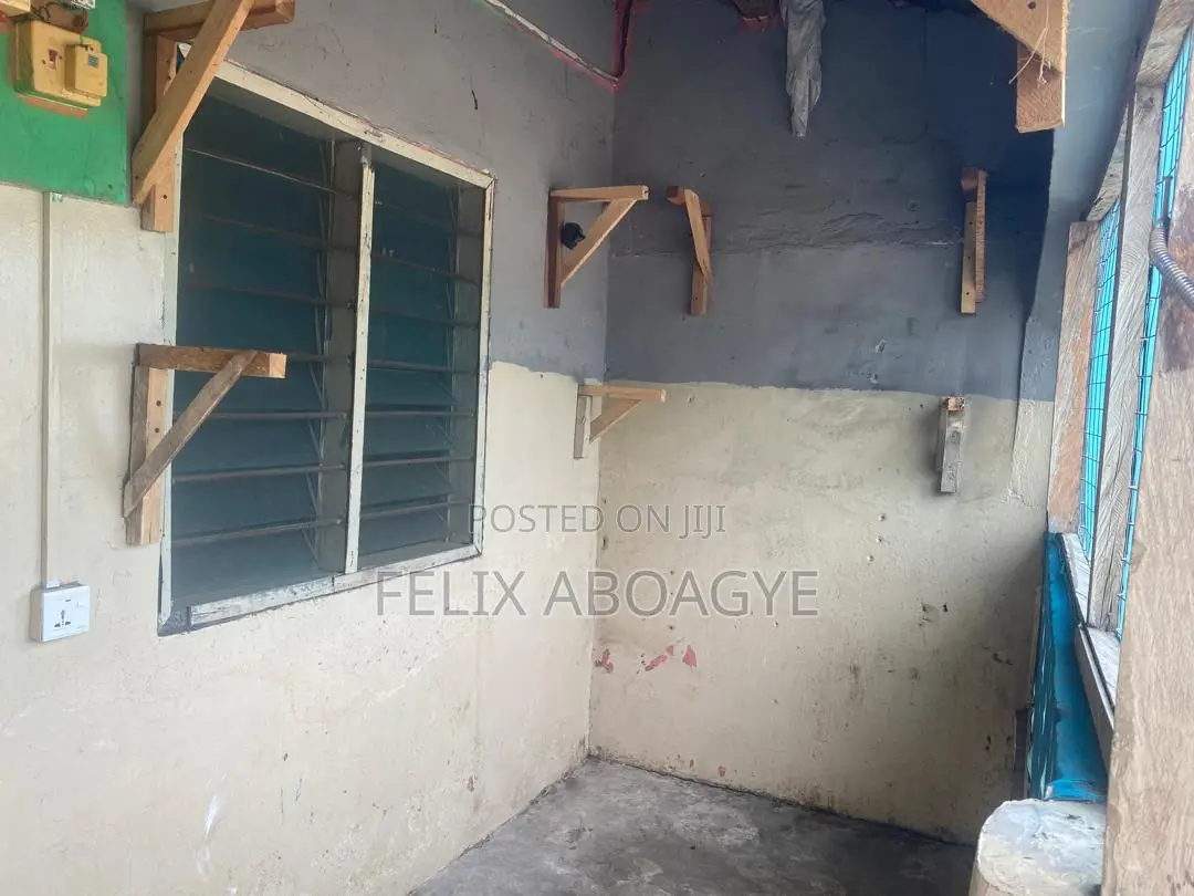 1bdrm Room & Parlour in Belinda Estate, Olebu for rent in Olebu