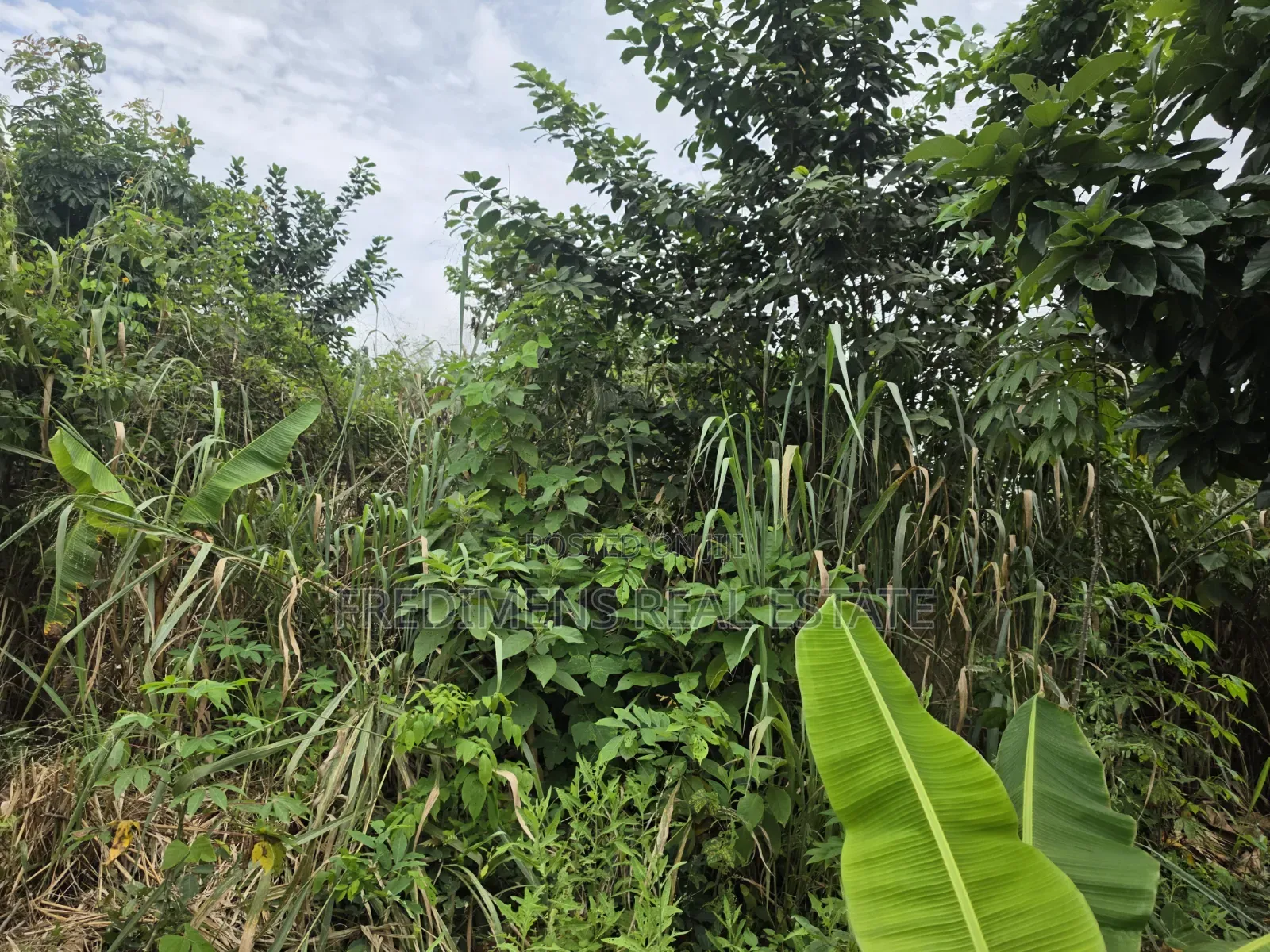 Land at Asuofia-Achiase for Sale in Kumasi Metropolitan