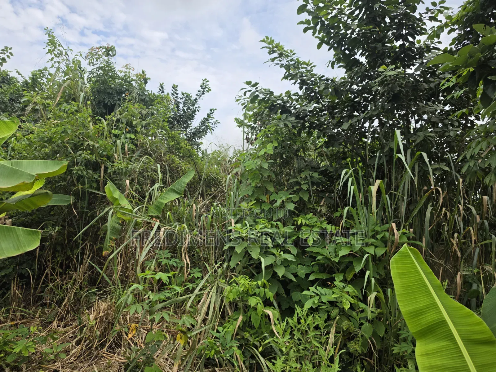 Land at Asuofia-Achiase for Sale in Kumasi Metropolitan