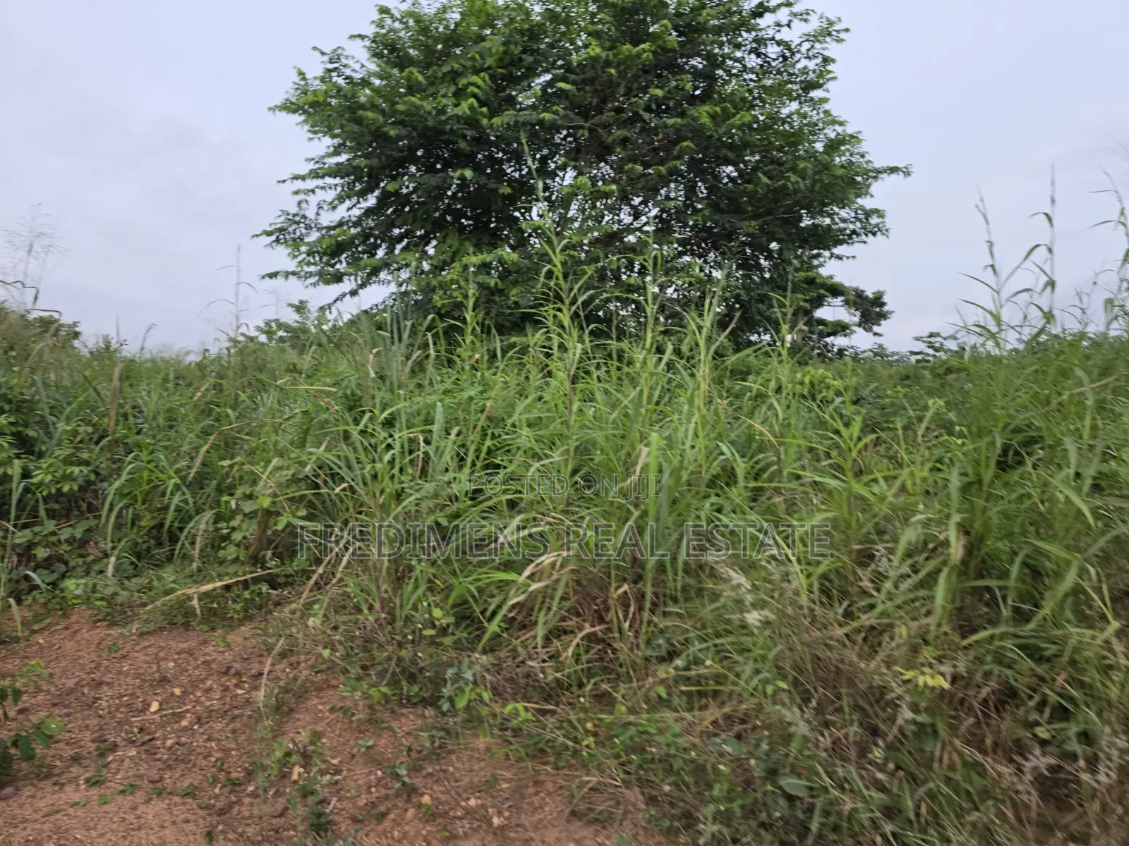 Land at Aboabugya for Sale in Afigya-Kwabre