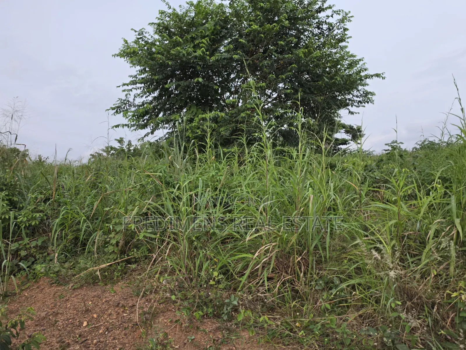 Land at Aboabugya for Sale in Afigya-Kwabre