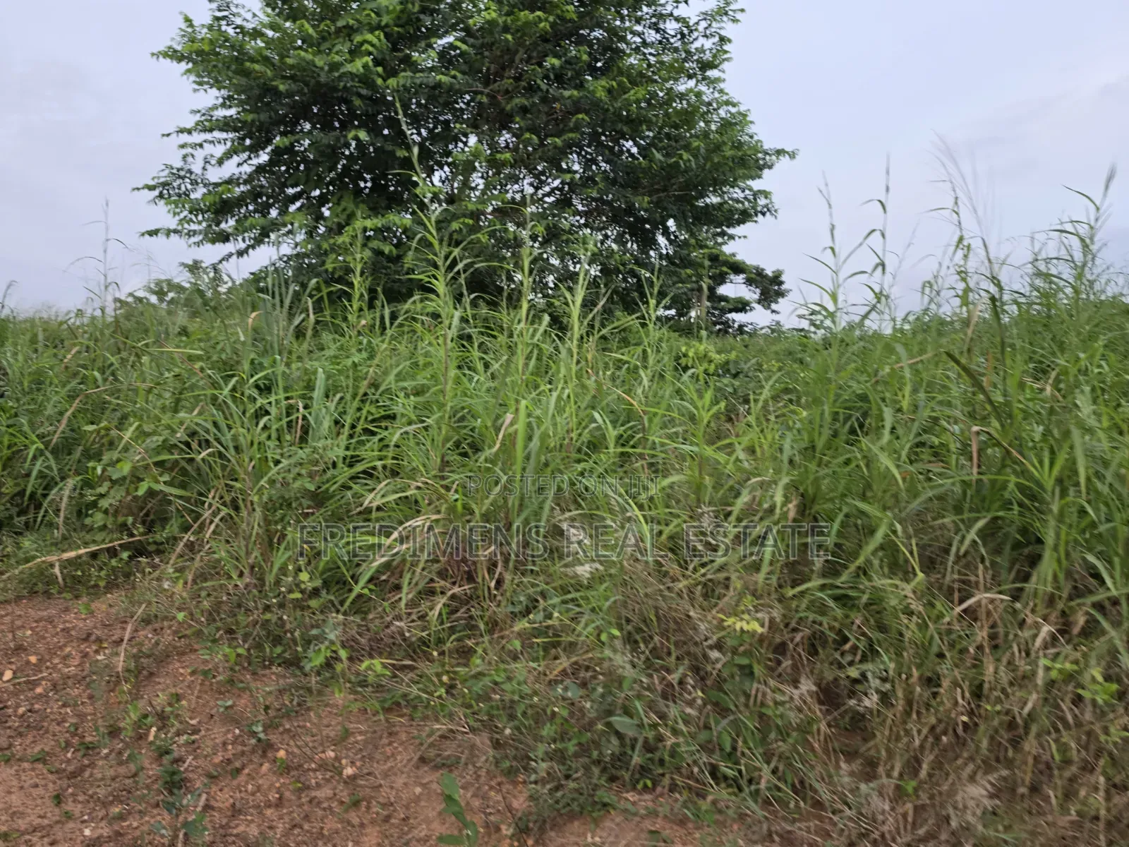 Land at Aboabugya for Sale in Afigya-Kwabre