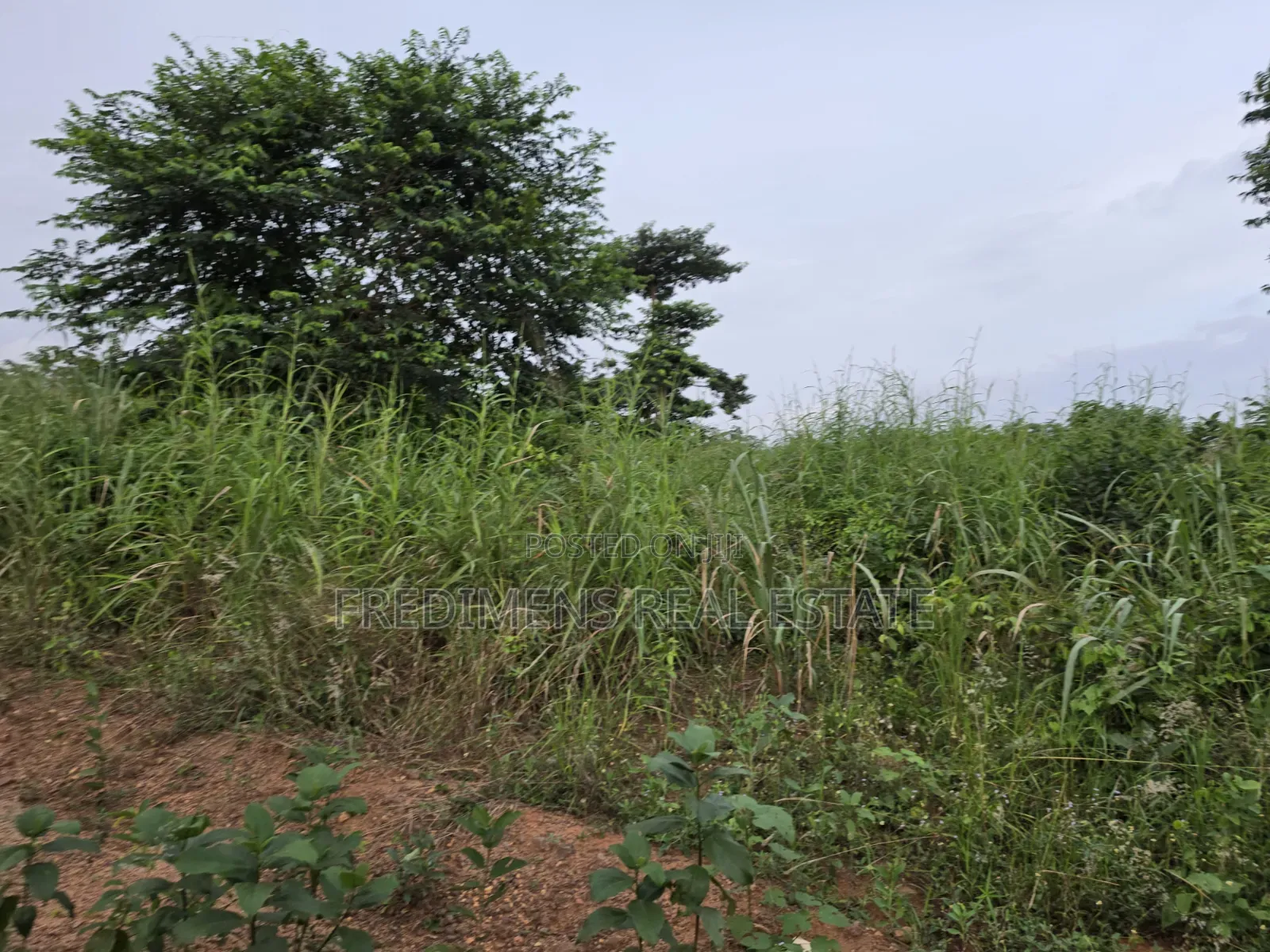 Land at Aboabugya for Sale in Afigya-Kwabre