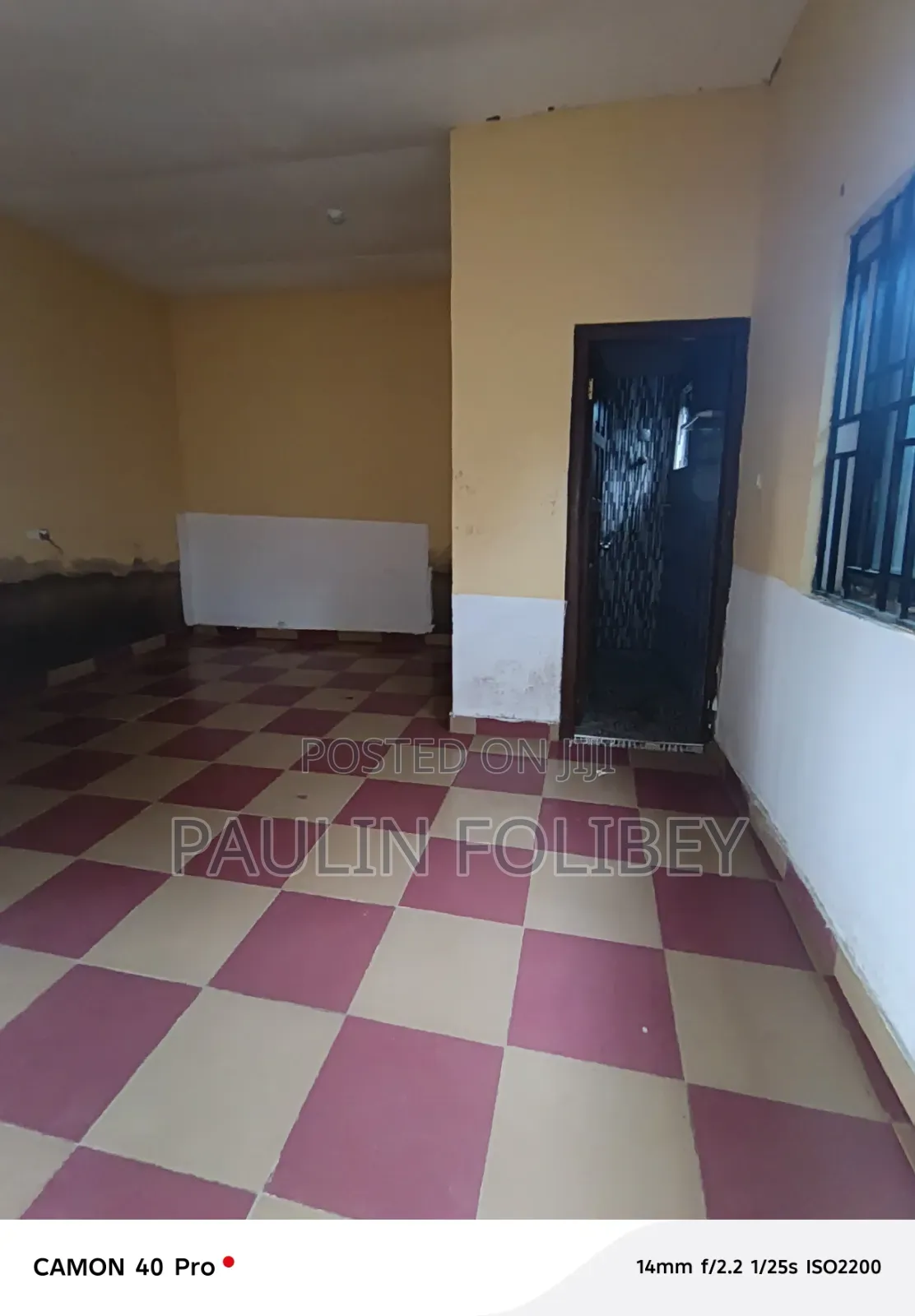 1bdrm Apartment in Dg Property, CP for rent in CP