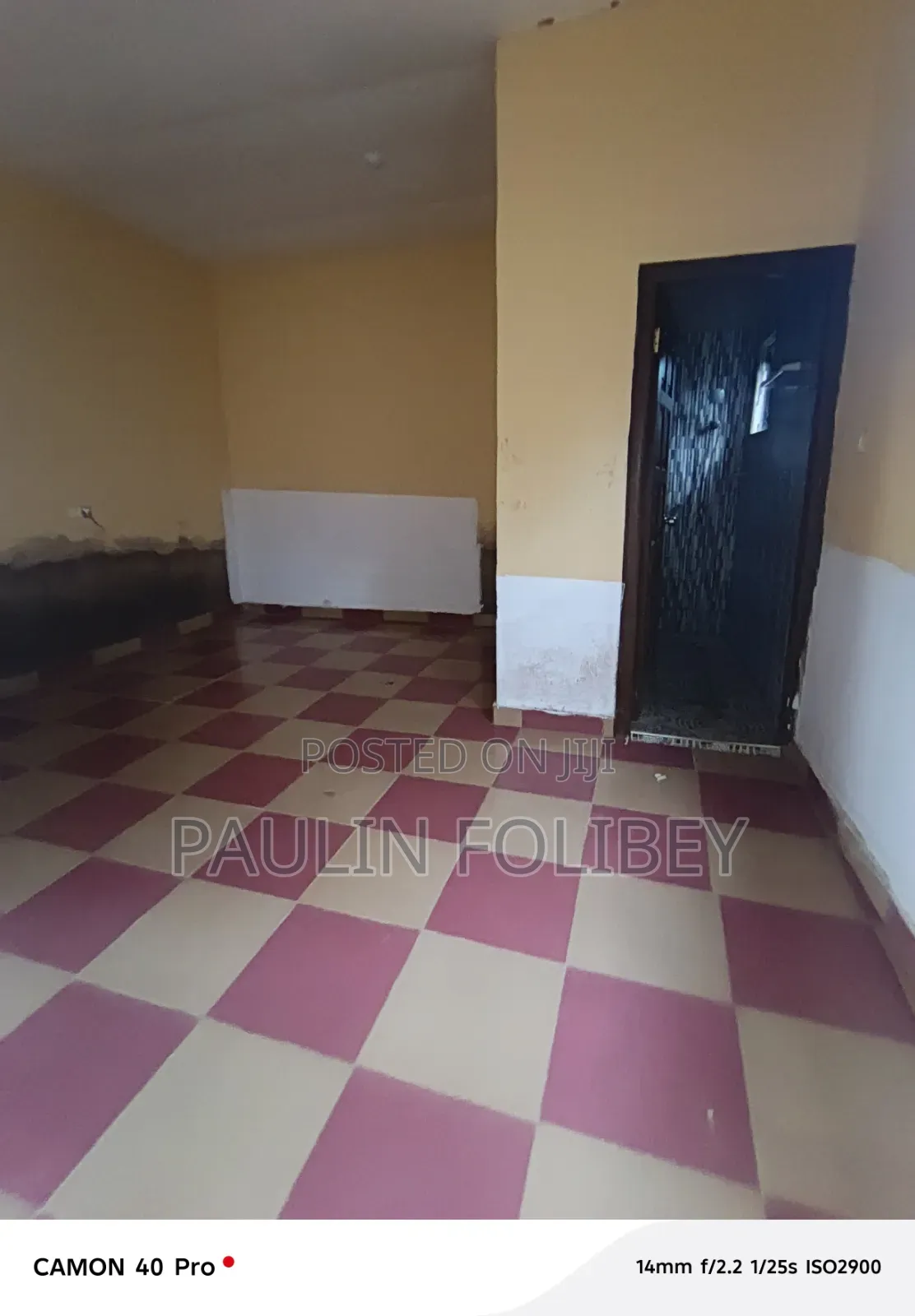 1bdrm Apartment in Dg Property, CP for rent in CP
