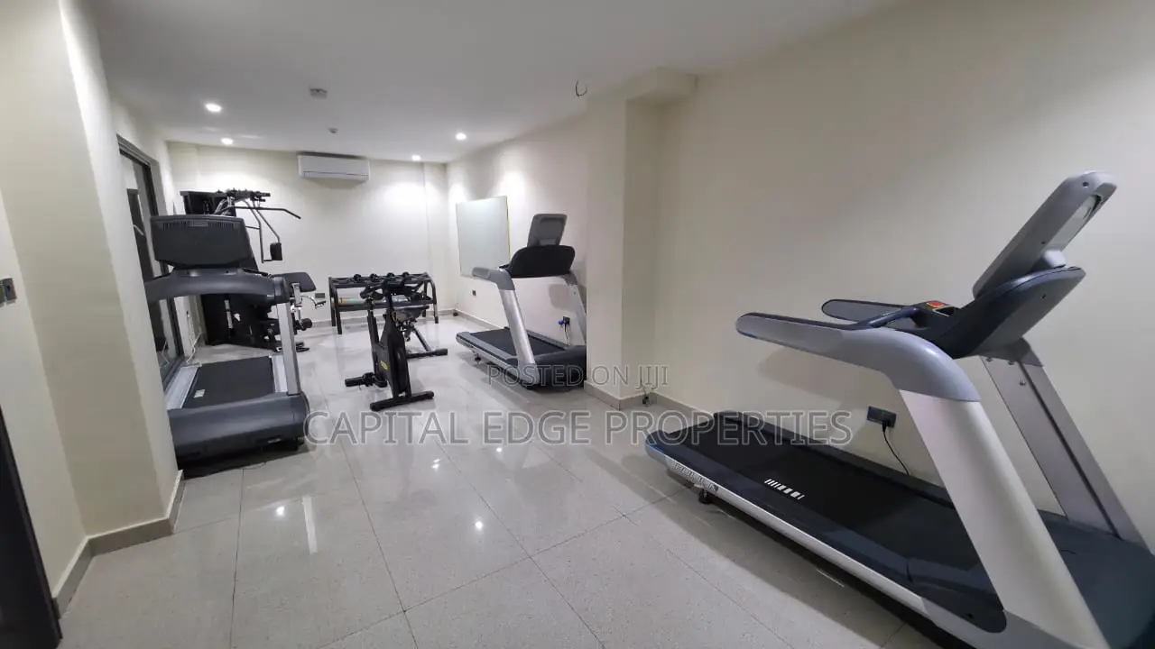 Furnished 1bdrm Apartment in Labone for rent in Labone