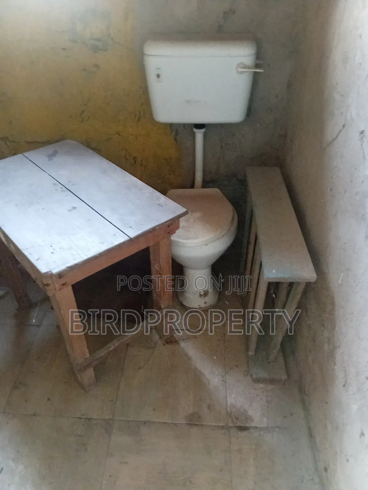 1bdrm House in Bird-Group, American House for rent in American House