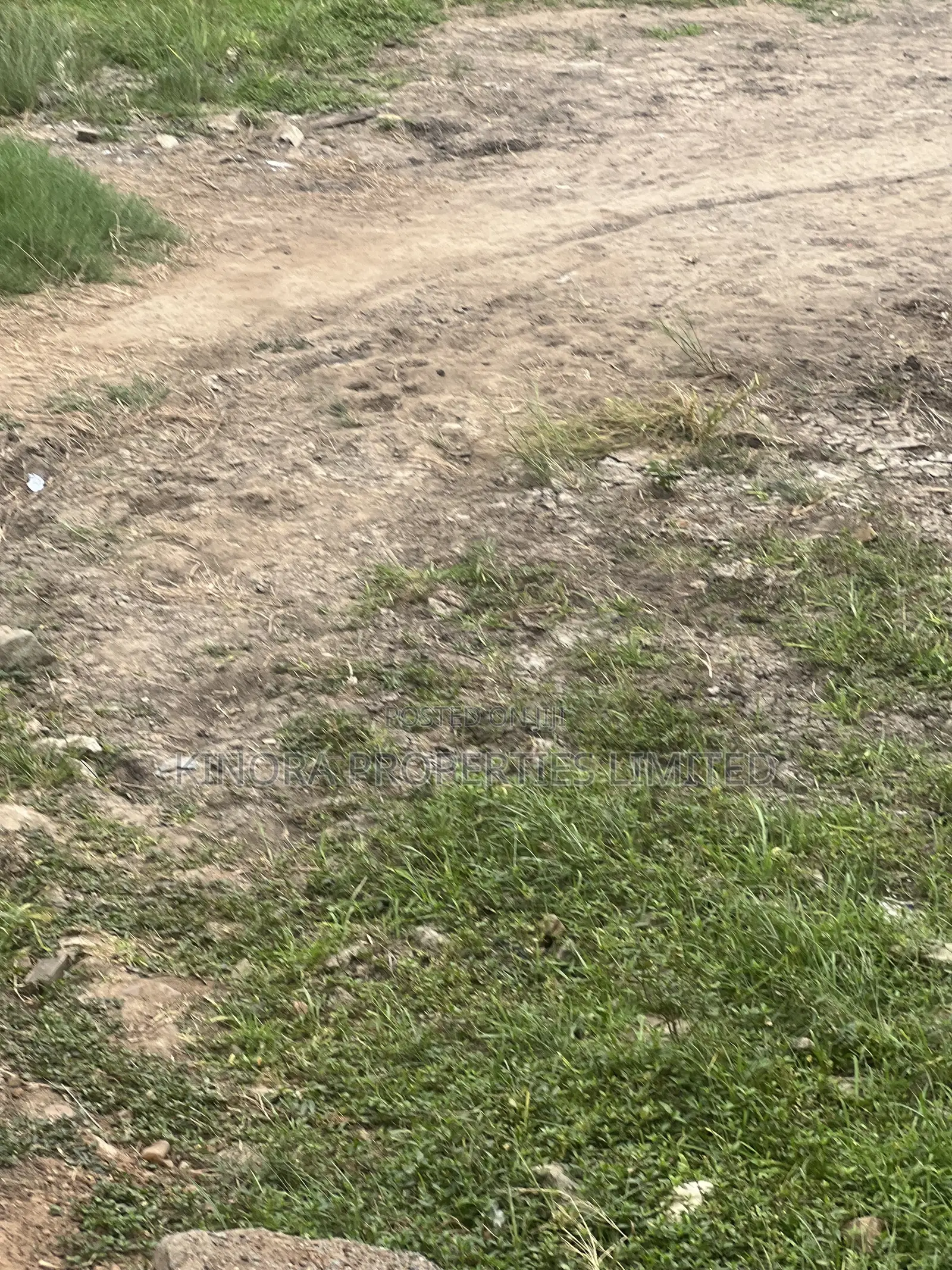 Titled Land for Sale at Dome Pillar 2 in Dome