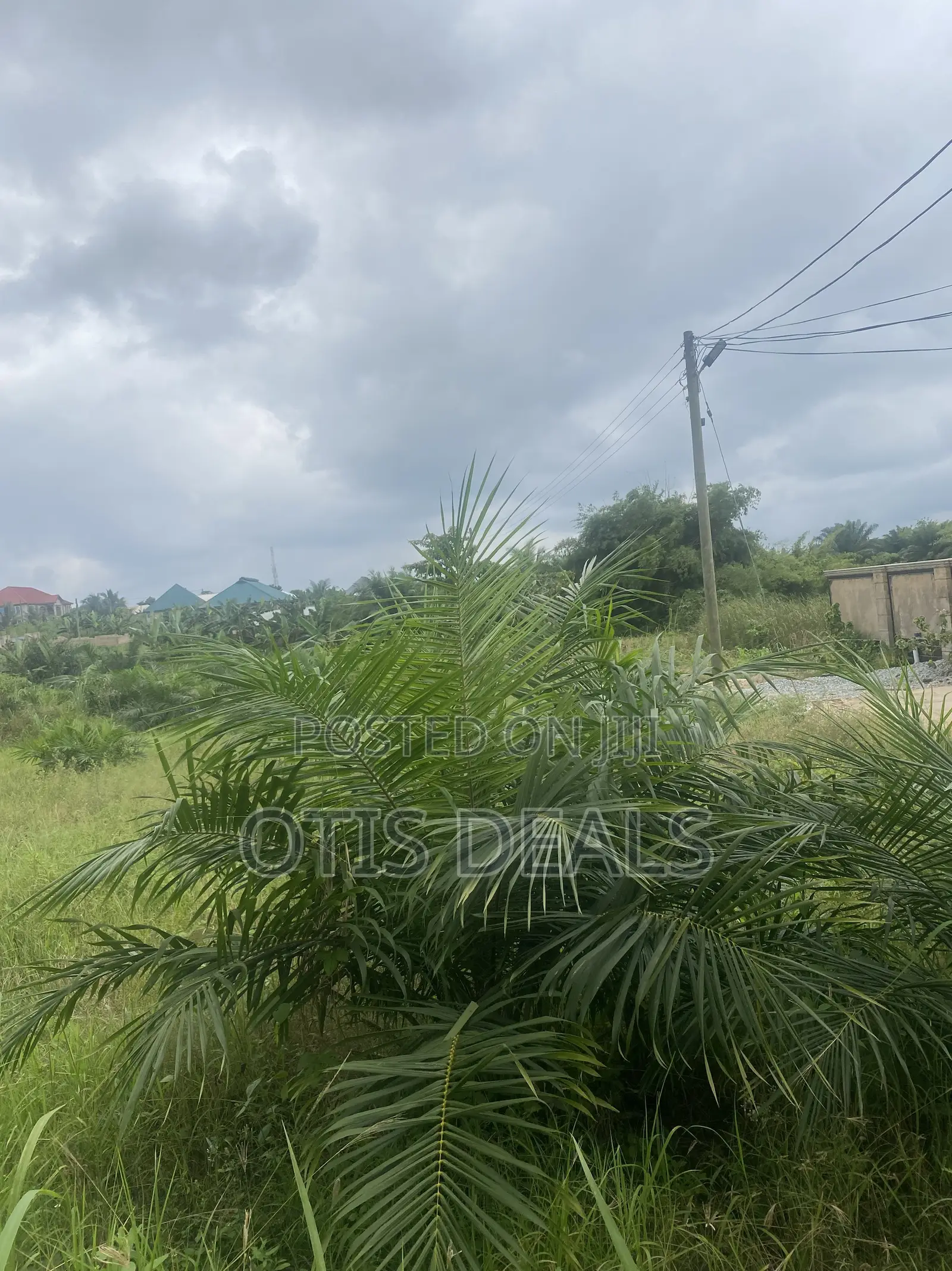 Two Plot of Land for Sale at Ag Swedru Bangalow, One for 35000 in Gomoa East