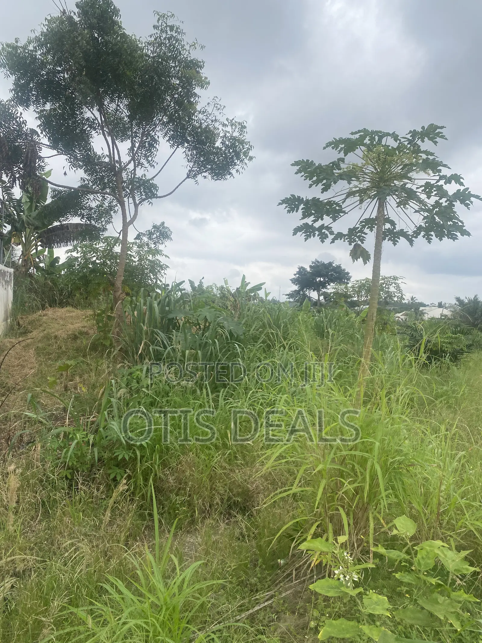 Two Plot of Land for Sale at Ag Swedru Bangalow, One for 35000 in Gomoa East