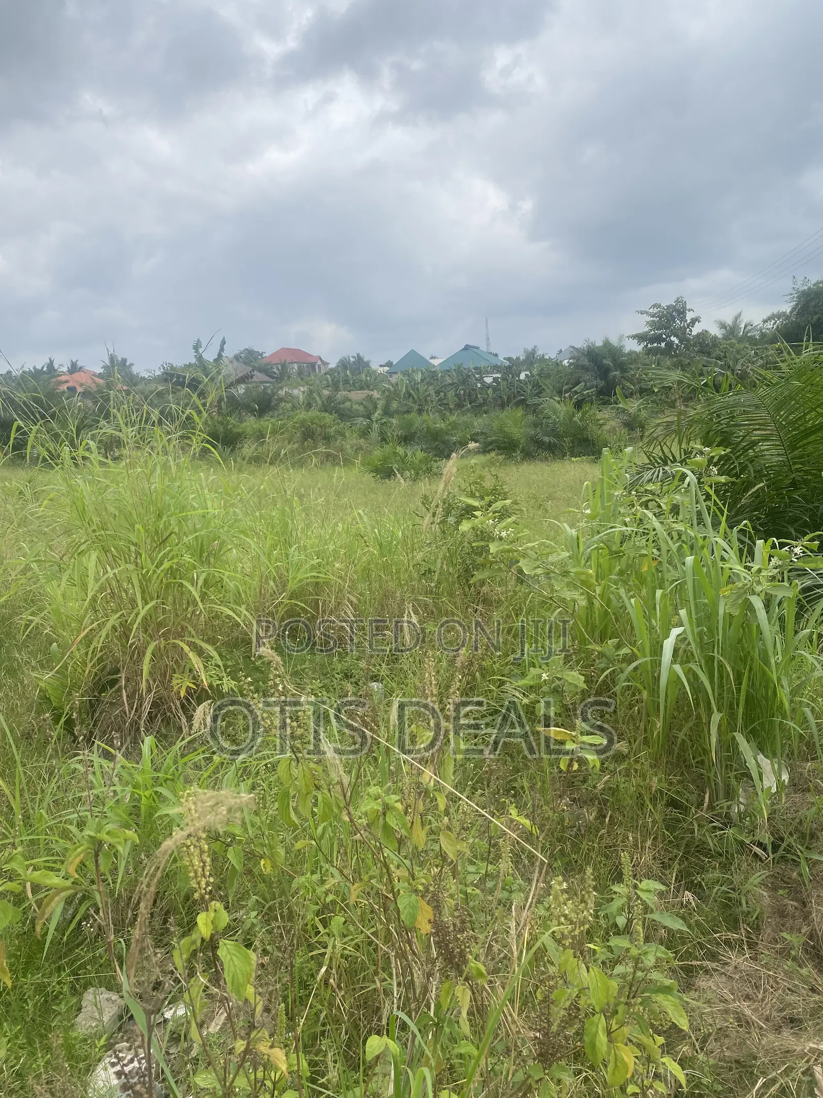 Two Plot of Land for Sale at Ag Swedru Bangalow, One for 35000 in Gomoa East
