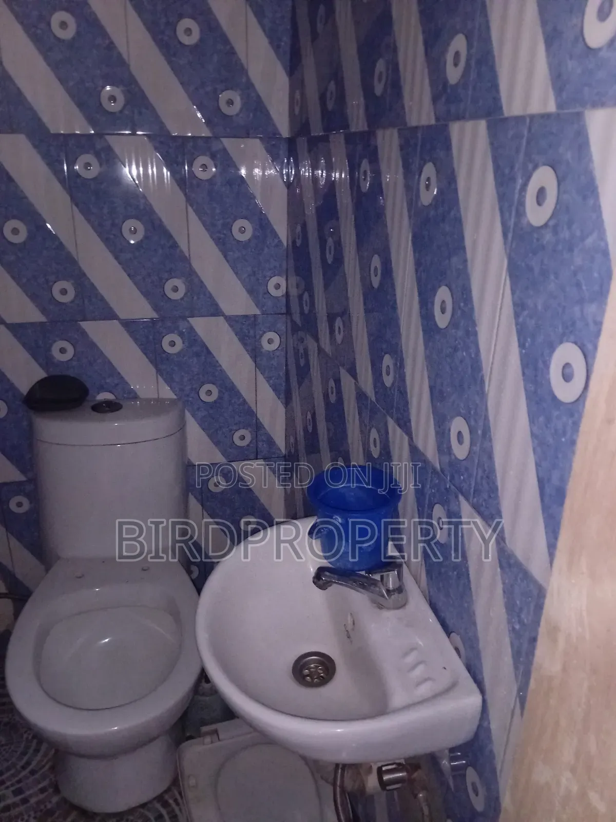 1bdrm Apartment in Bird-Group, Bawaleshie for rent in Bawaleshie