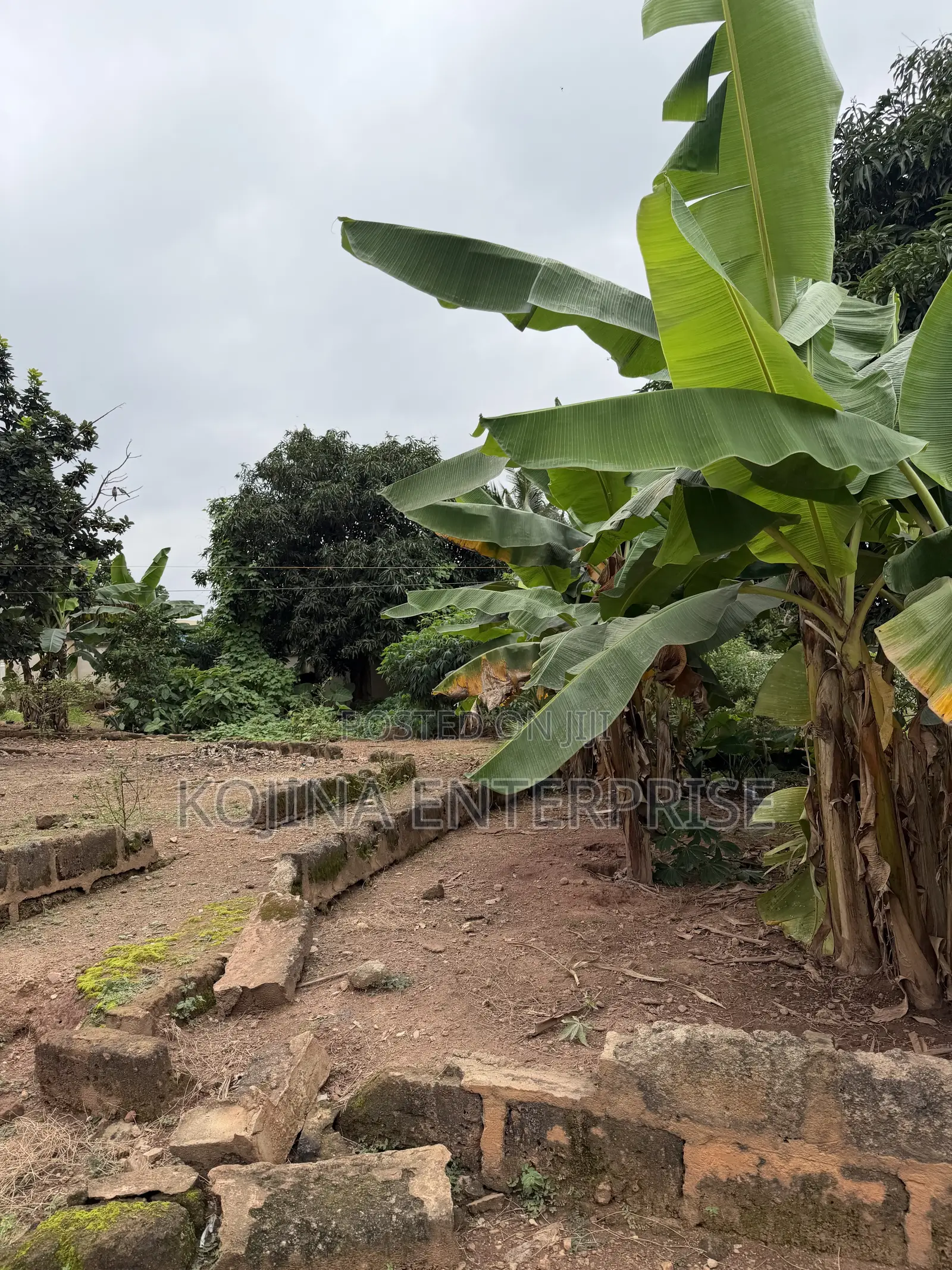 3.5 Plots of Land for Sale at Agric–Aburaso in Atwima Kwanwoma