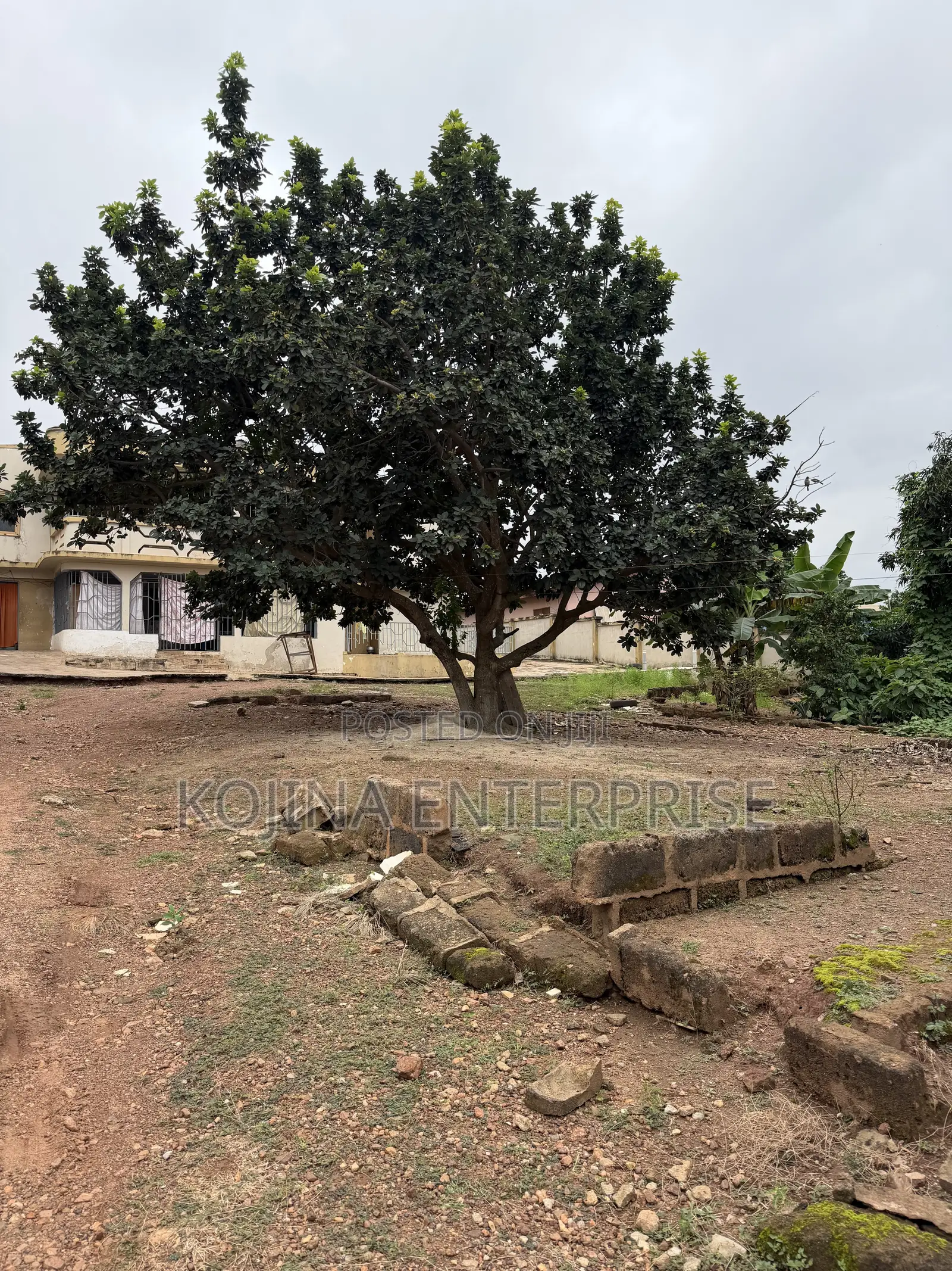 3.5 Plots of Land for Sale at Agric–Aburaso in Atwima Kwanwoma