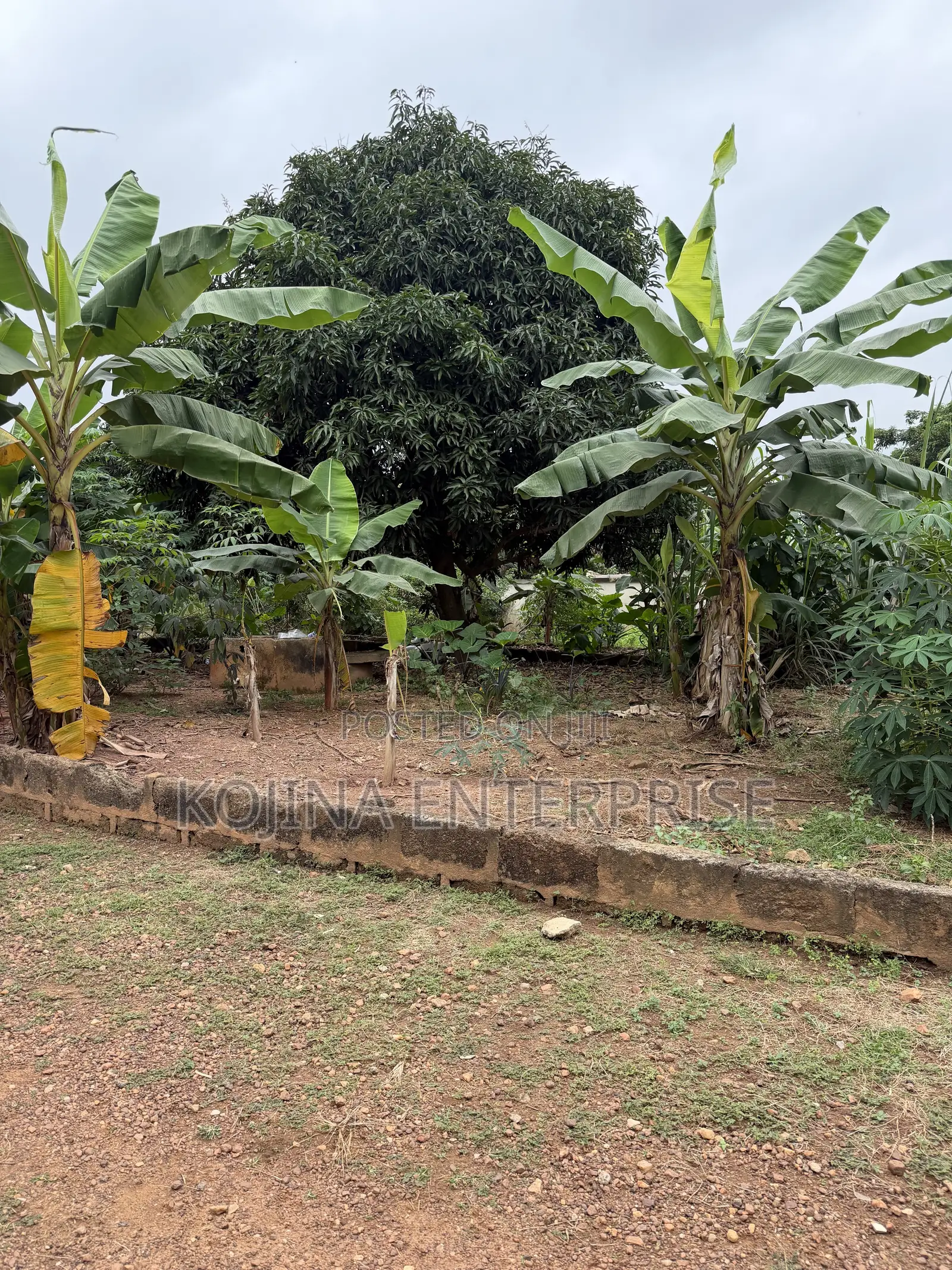 3.5 Plots of Land for Sale at Agric–Aburaso in Atwima Kwanwoma