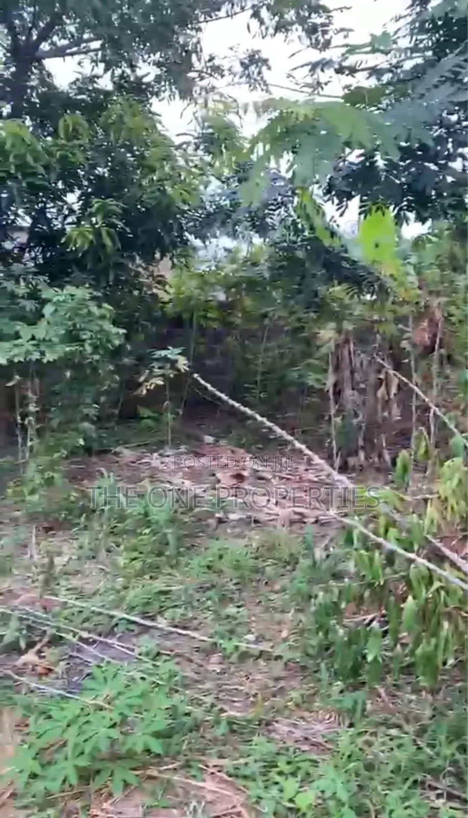 Road Side 1 Acre (4 Plots) for Sale at Kotoku Papase Road in Amasaman