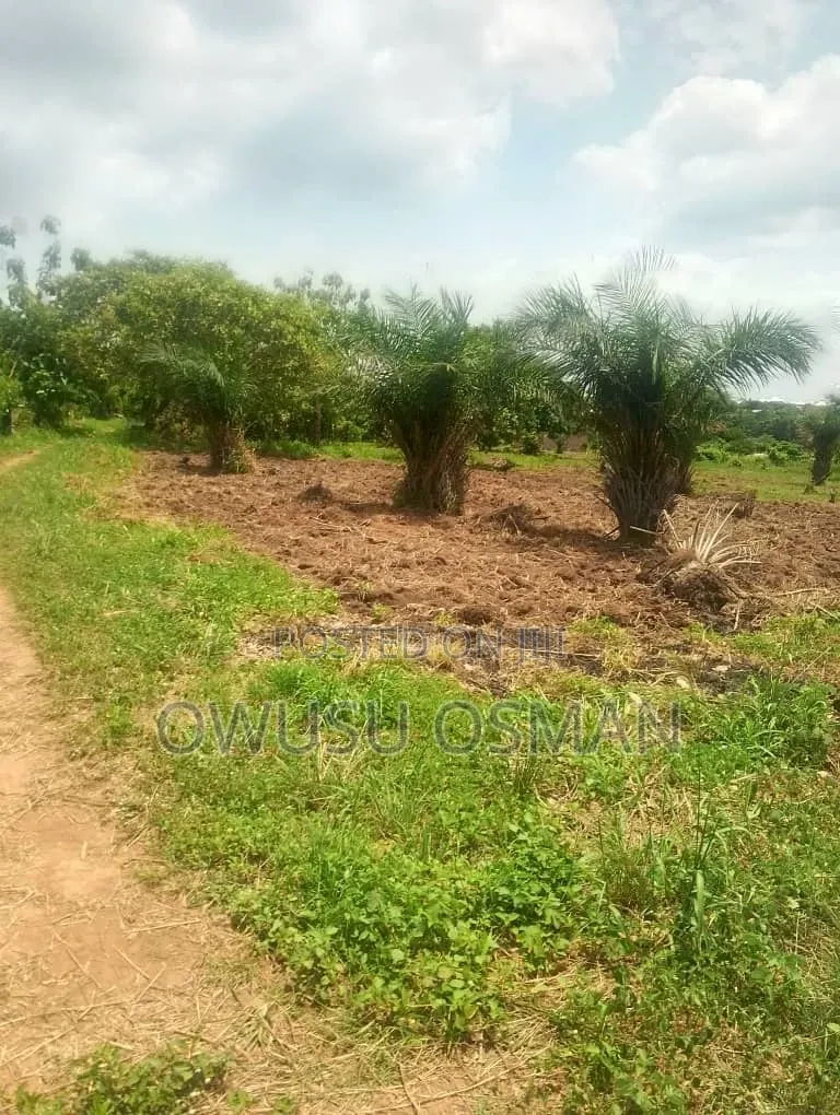 Two Plots of Lands for Sale in Techiman Municipal