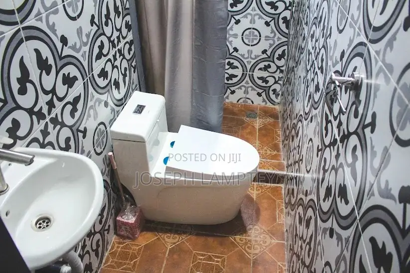 Furnished Studio Apartment in Joseph Lamptey, Police Station for rent in Police Station