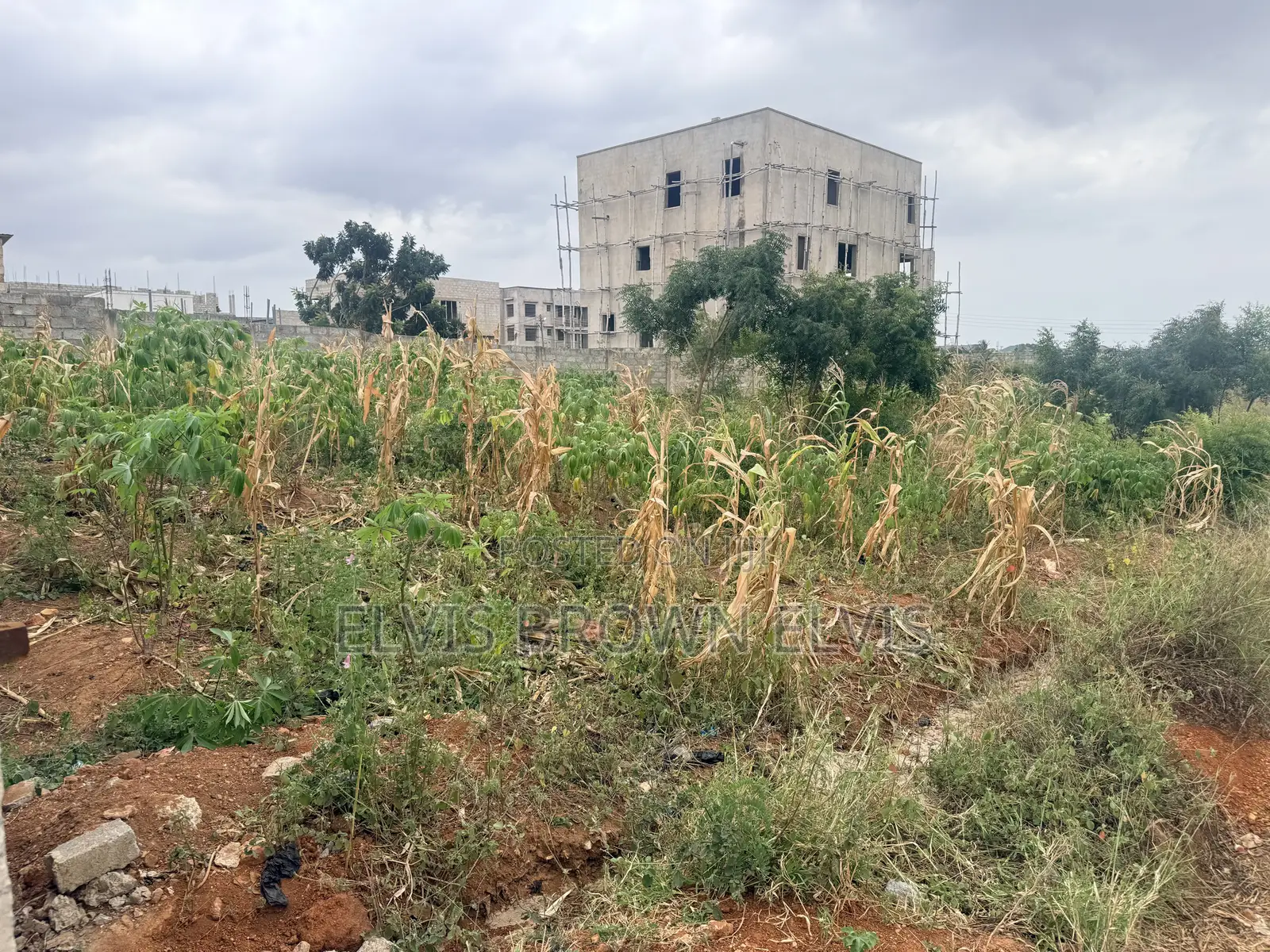 Do You Need a 4 Plots of Land for Sale at Trasacco Springs in Nmai-Dzorn