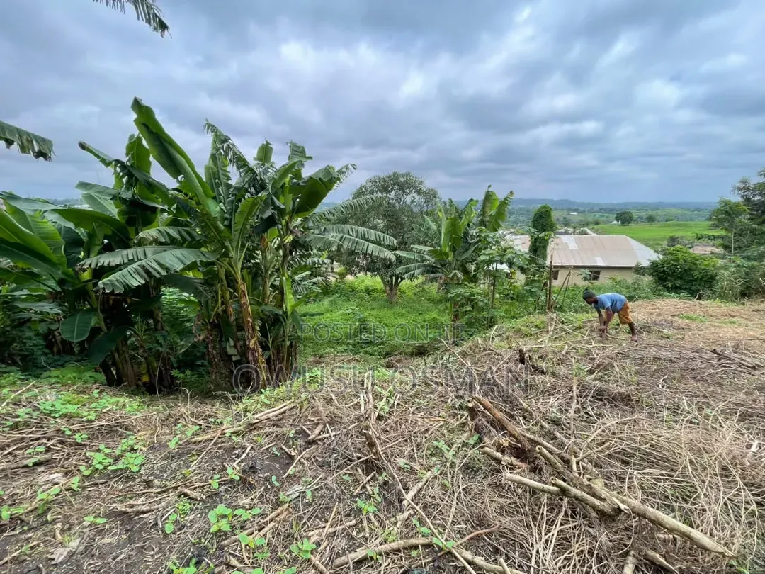 One Plot of Land for Sale in Techiman Municipal