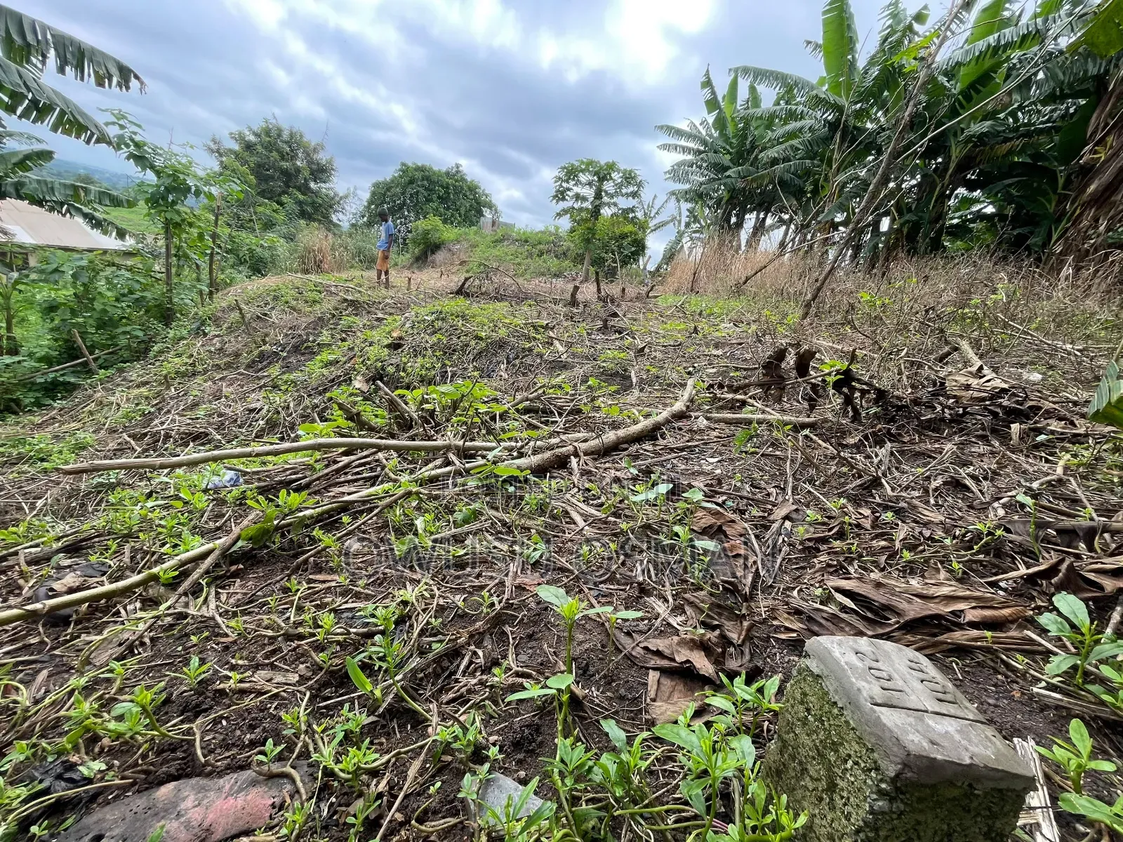 One Plot of Land for Sale in Techiman Municipal