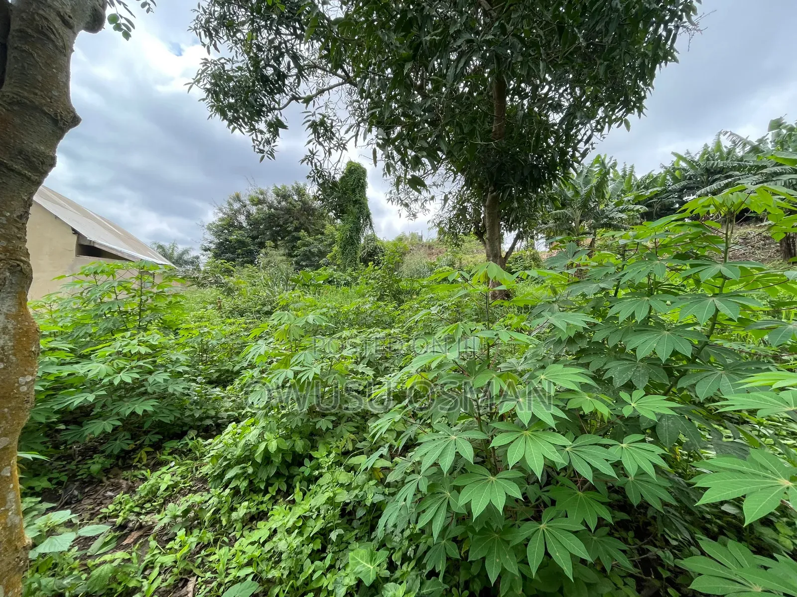 One Plot of Land for Sale in Techiman Municipal