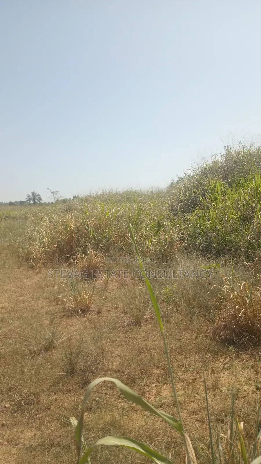 Alpha Estate Land for Sale at Nsawam Otukwadzo in Akuapim North