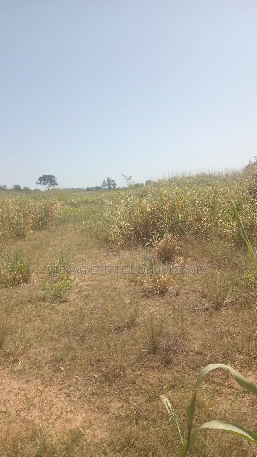 Alpha Estate Land for Sale at Nsawam Otukwadzo in Akuapim North