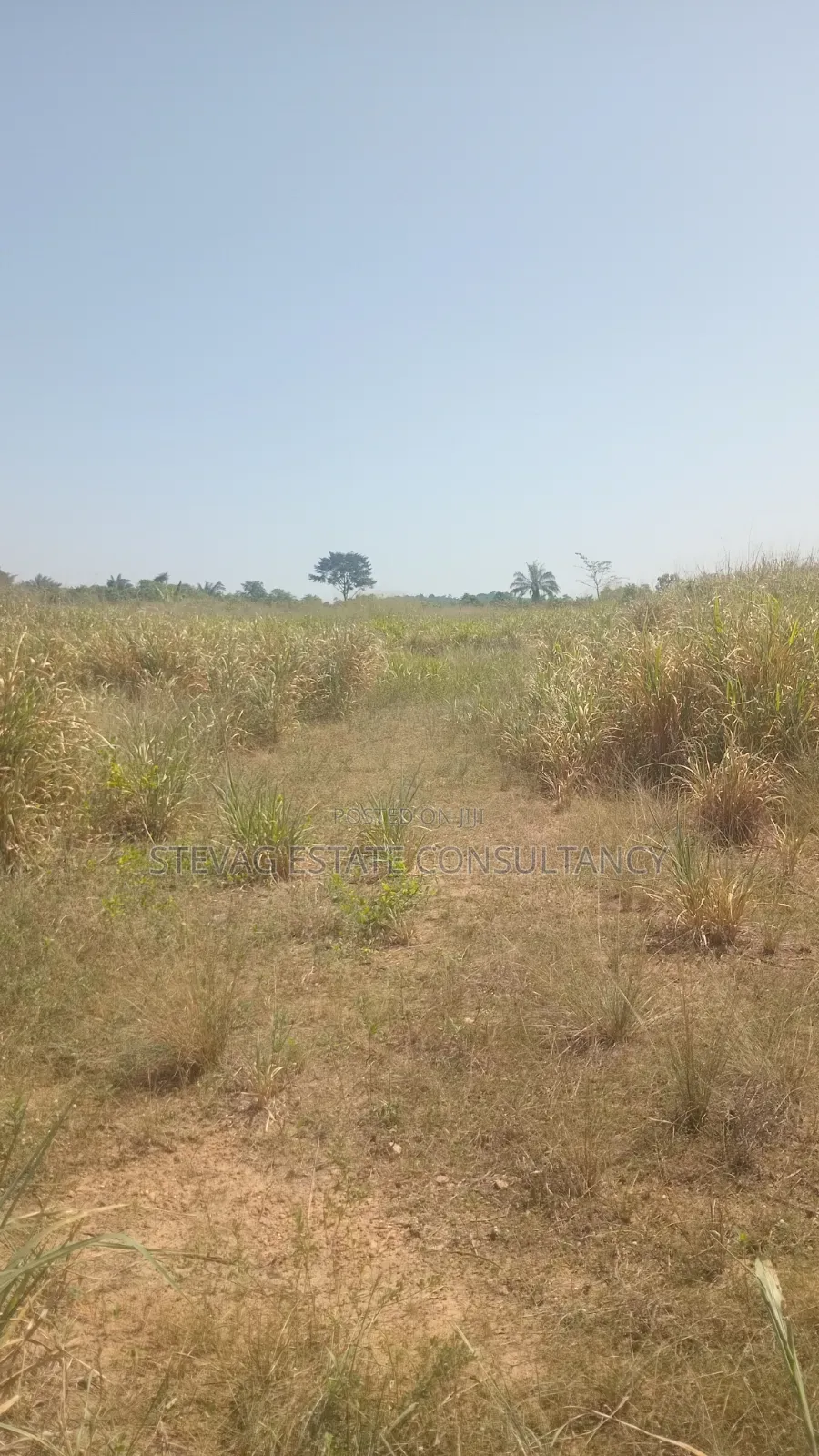 Alpha Estate Land for Sale at Nsawam Otukwadzo in Akuapim North