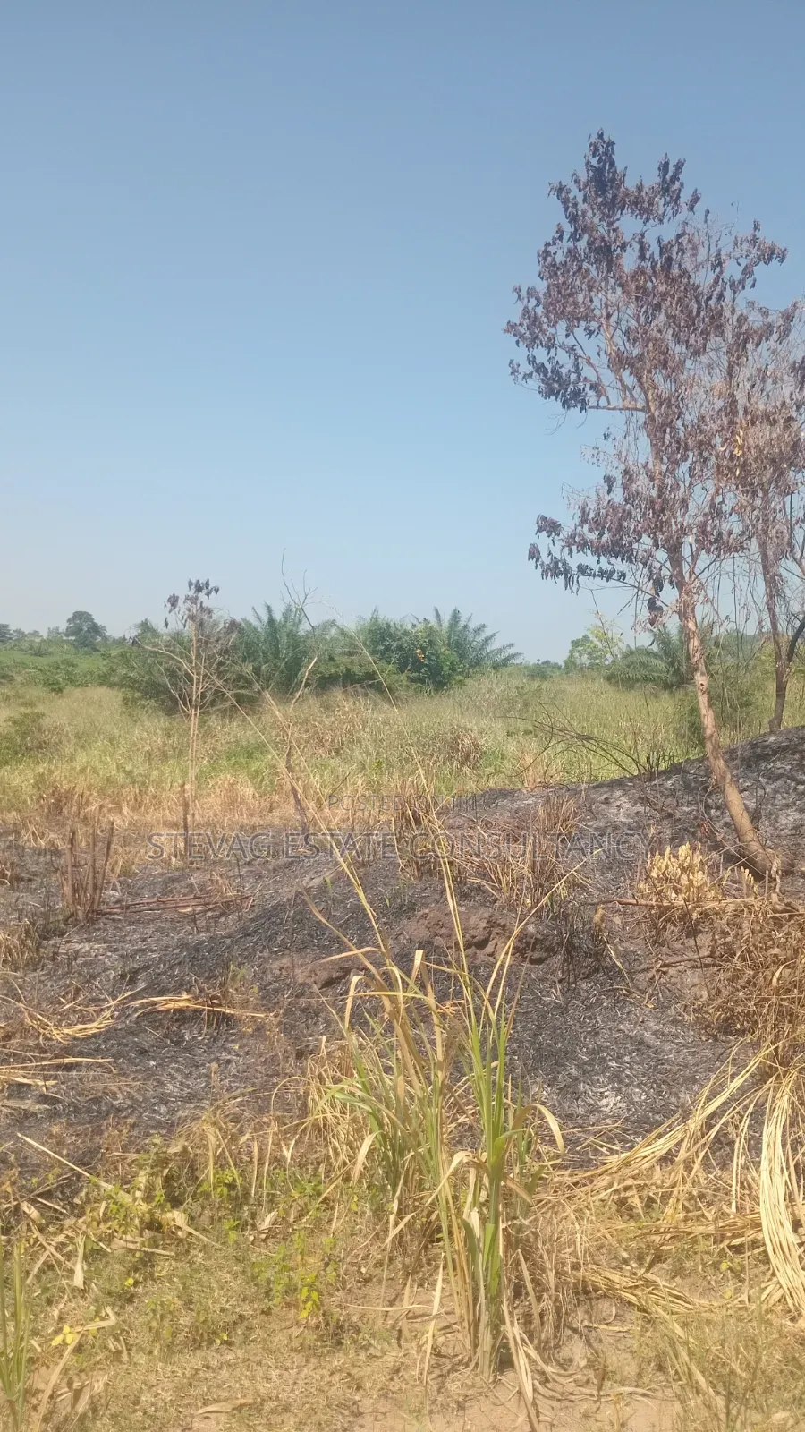 Alpha Estate Land for Sale at Nsawam Otukwadzo in Akuapim North
