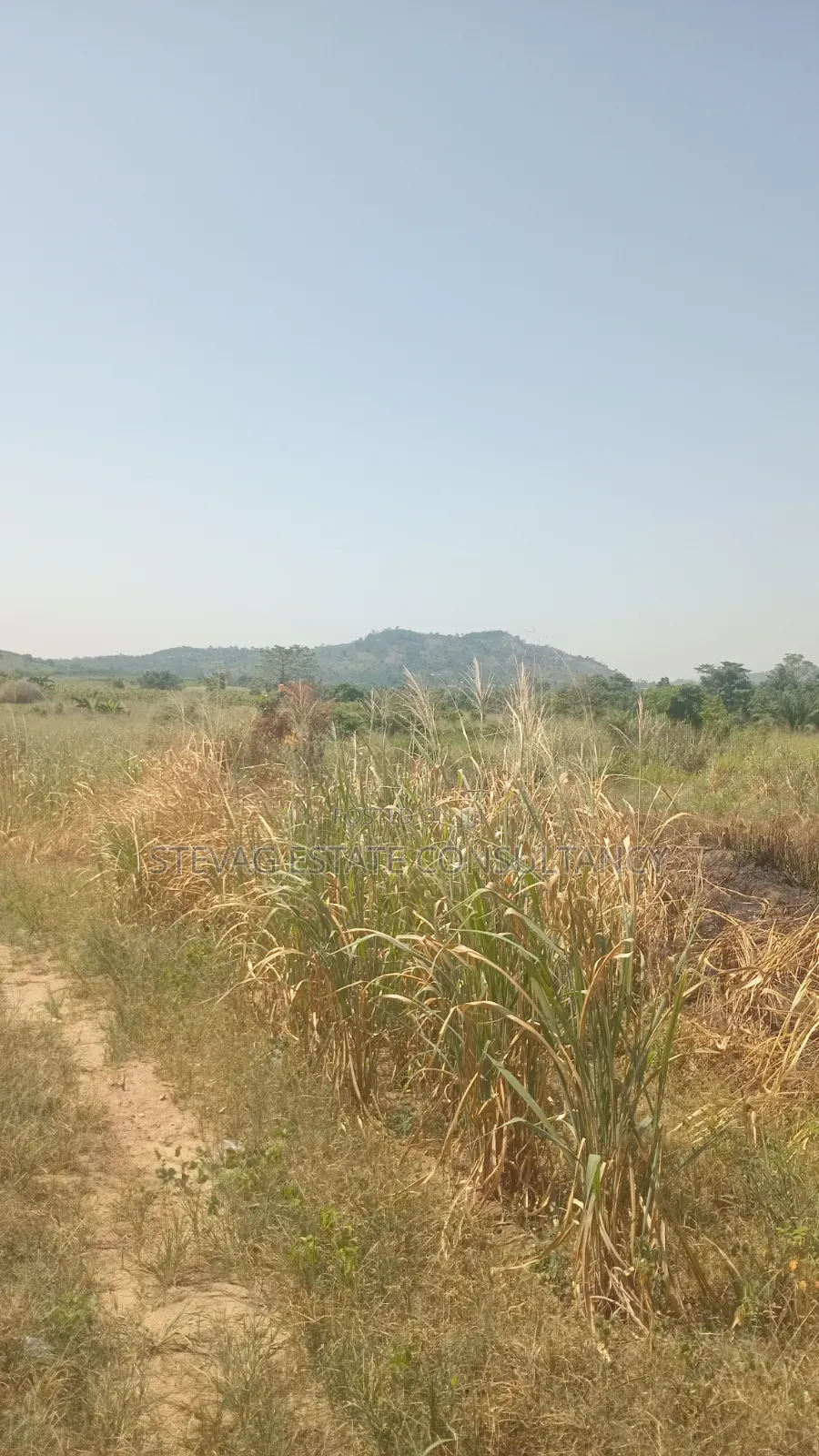 Alpha Estate Land for Sale at Nsawam Otukwadzo in Akuapim North