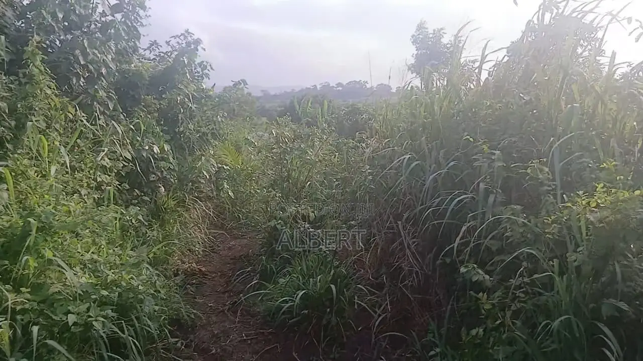 Land 4 Sale in Central Region