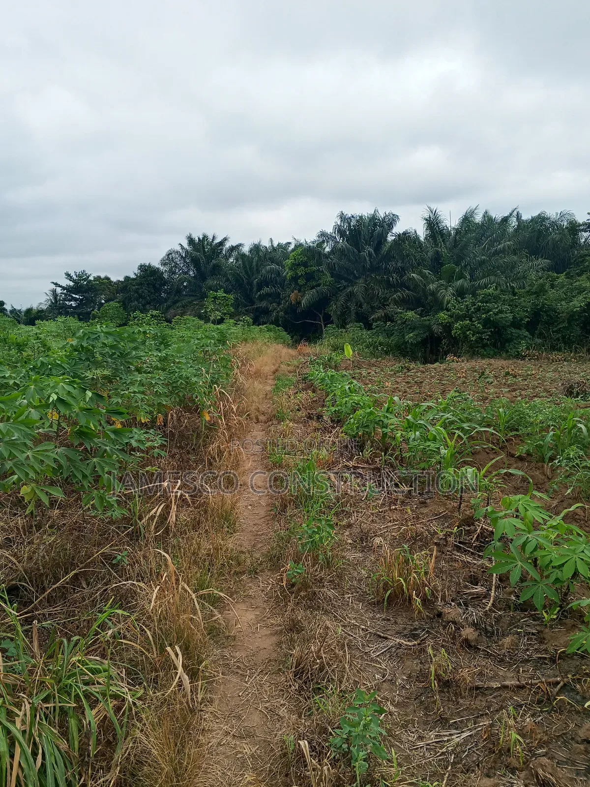 Farmland for Sale in Agona West Municipal