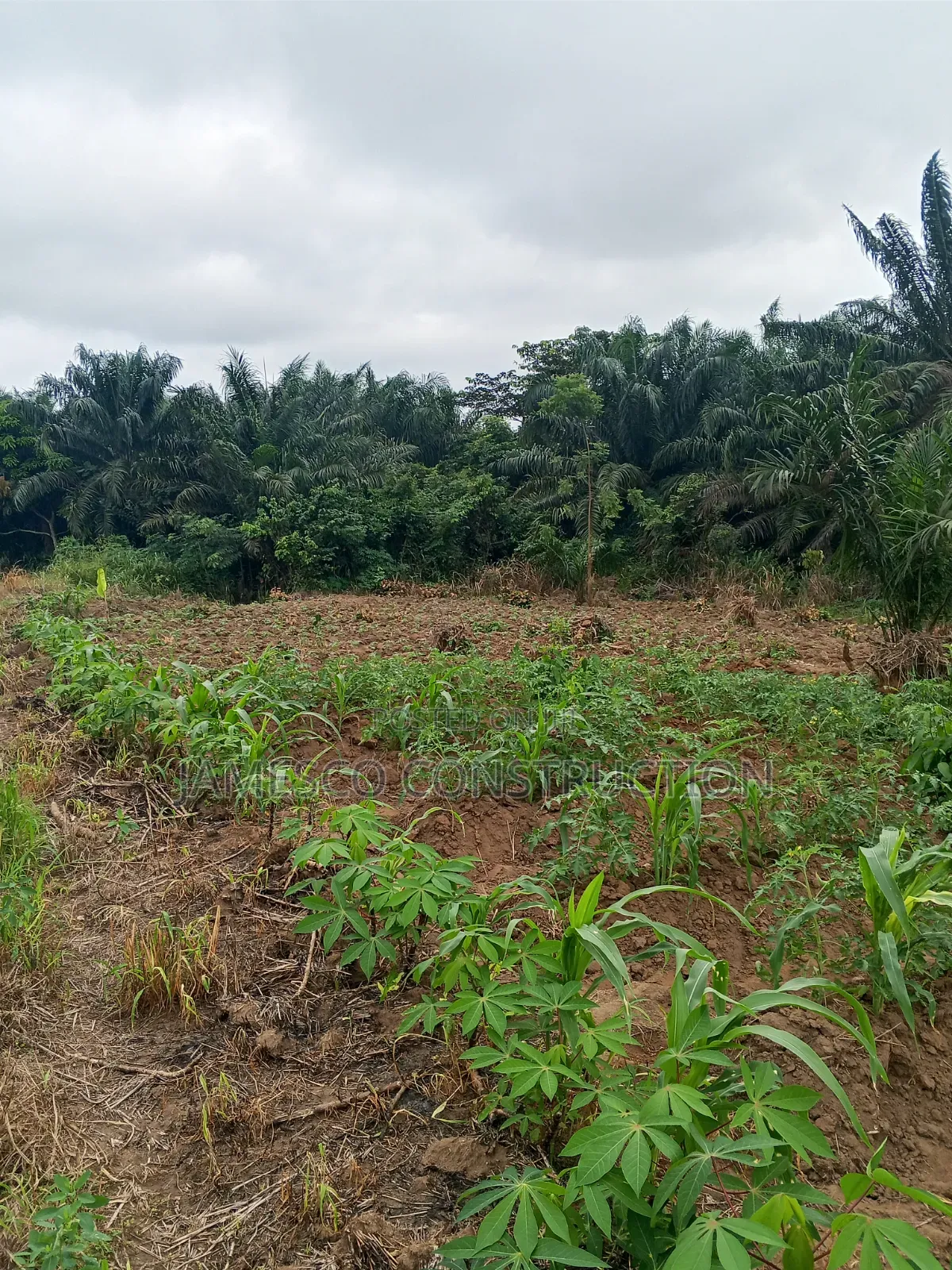 Farmland for Sale in Agona West Municipal