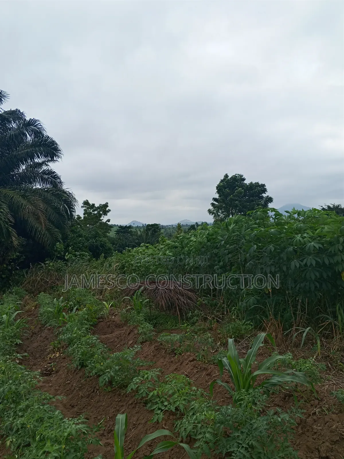Farmland for Sale in Agona West Municipal
