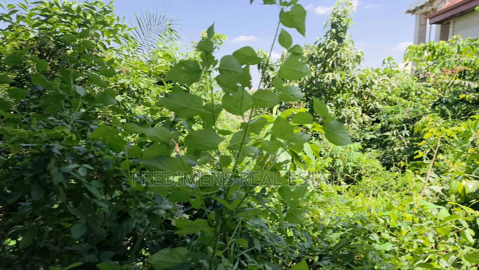 Land at Atimatim-Essen for Sale in Afigya-Kwabre