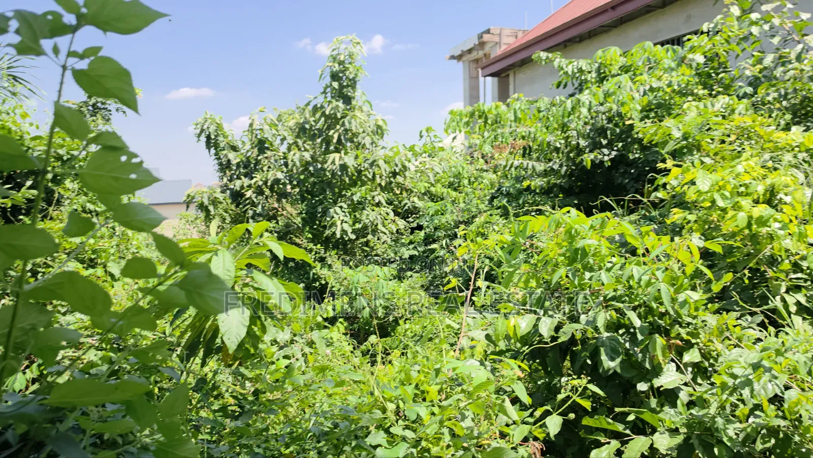 Land at Atimatim-Essen for Sale in Afigya-Kwabre