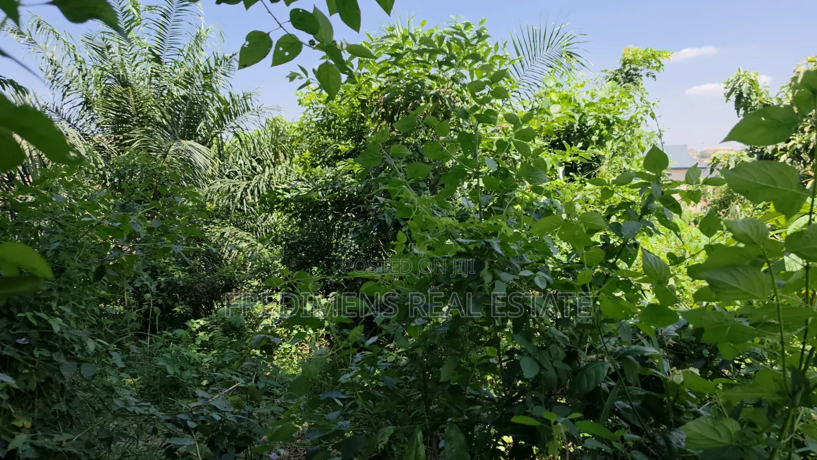 Land at Atimatim-Essen for Sale in Afigya-Kwabre