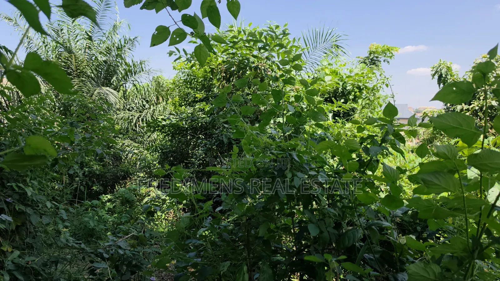 Land at Atimatim-Essen for Sale in Afigya-Kwabre